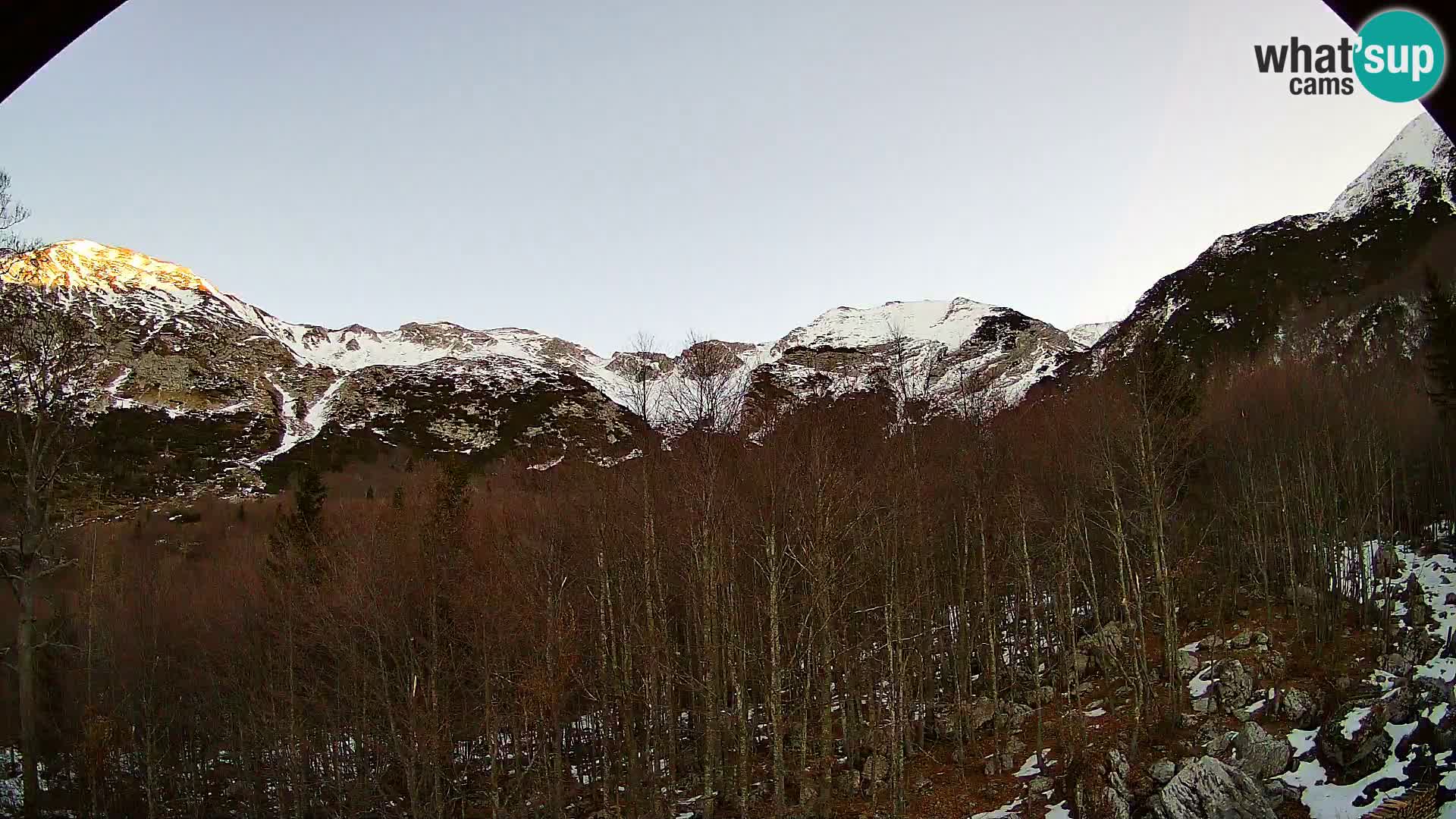 Livecam PLANINA RAZOR (1315) | vue sur Vogel et Globoko