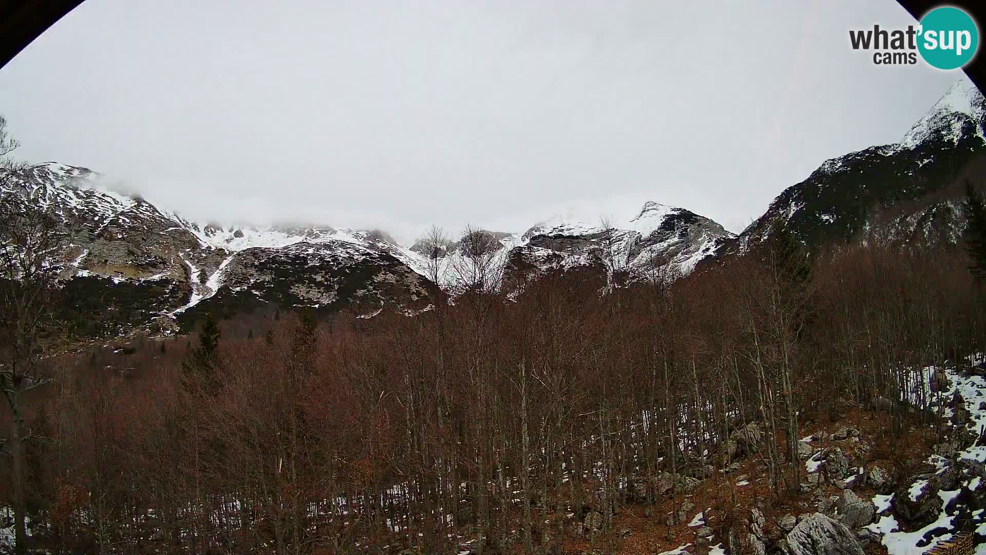 PLANINA RAZOR Live Cam (1315) | vista su Vogel e Globoko