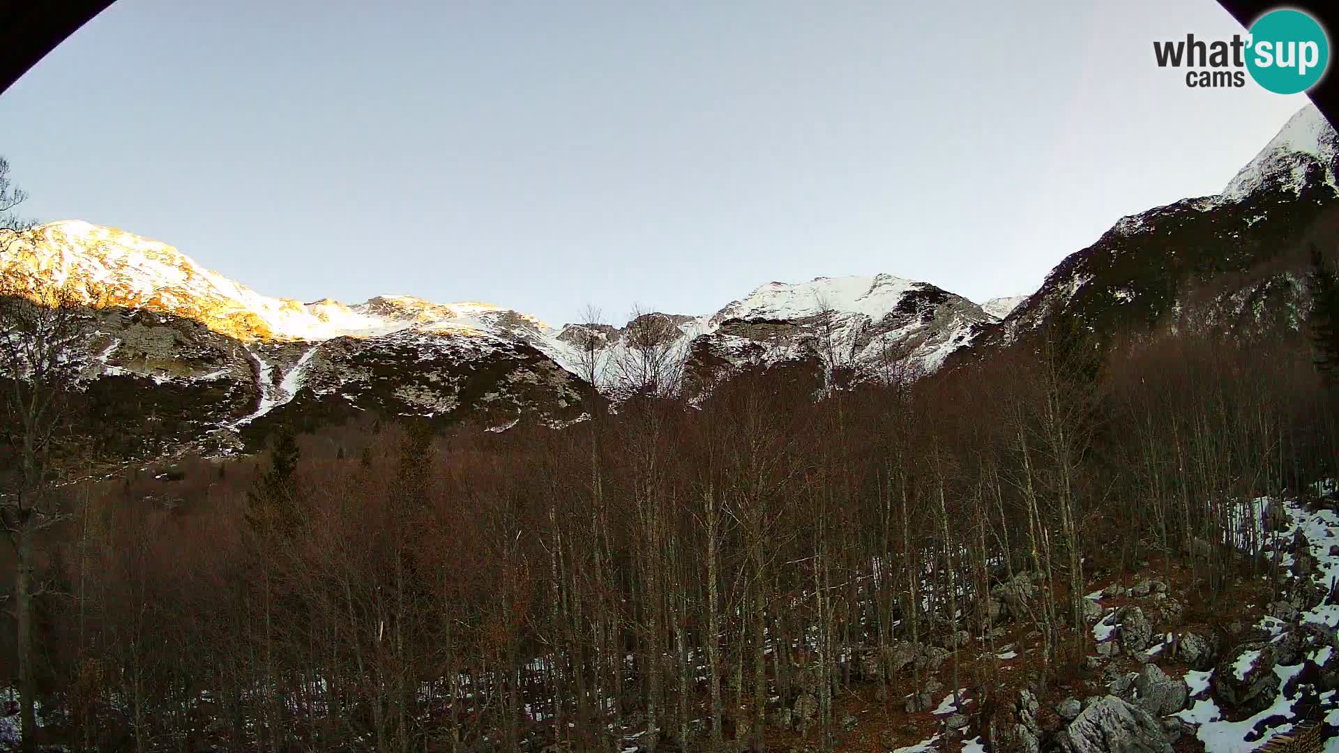 Livecam PLANINA RAZOR (1315) | vue sur Vogel et Globoko