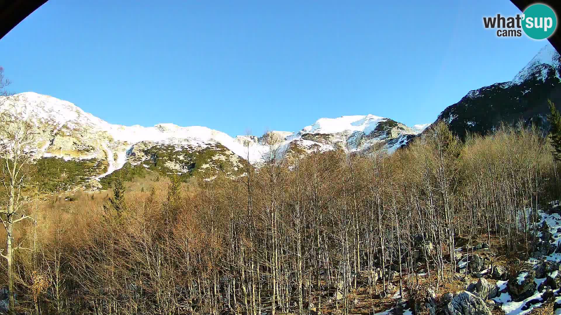 Webcam PLANINA RAZOR (1315) | Blick auf Vogel und Globoko