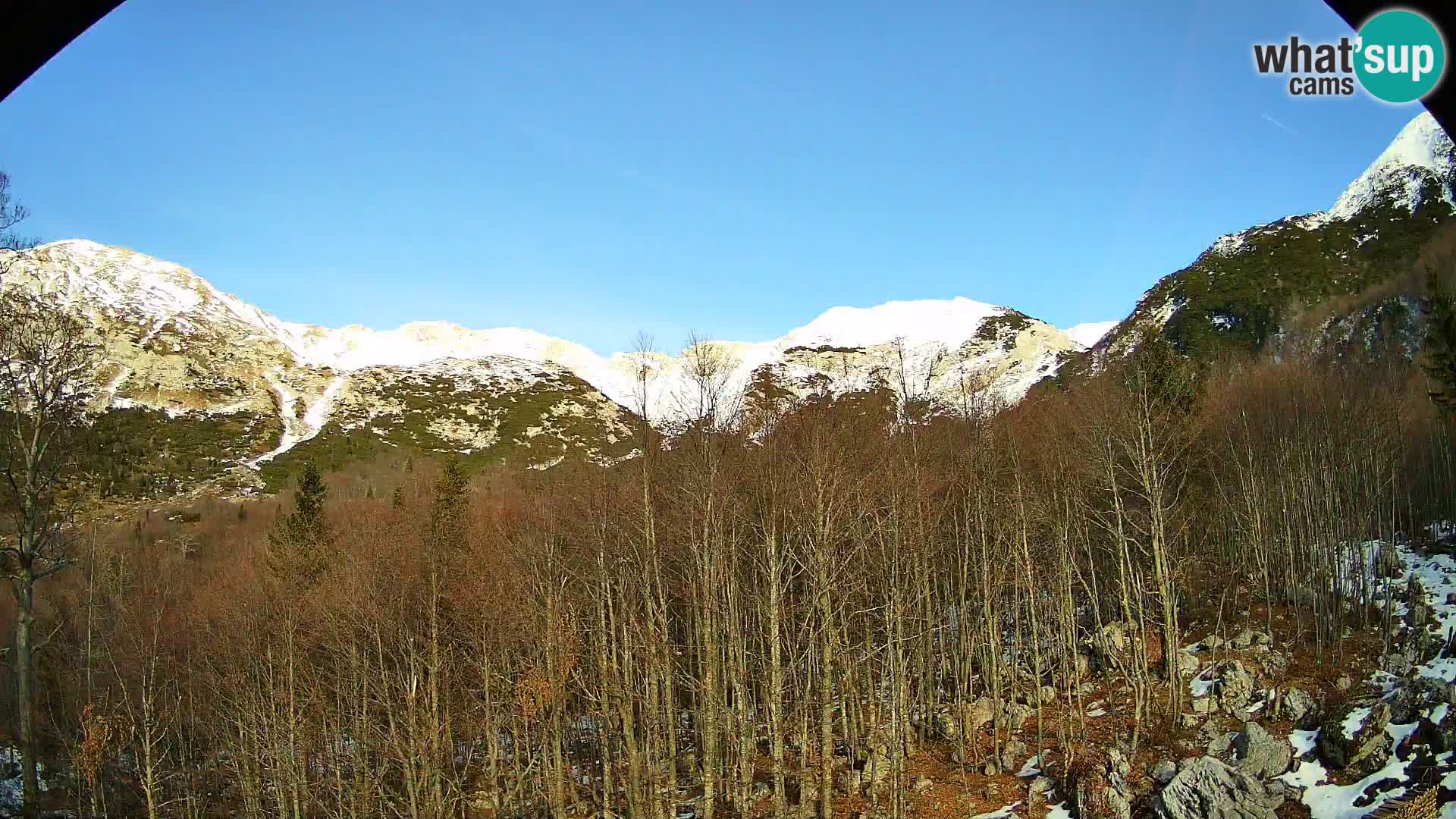 PLANINA RAZOR webcam (1315) | view to Vogel and Globoko