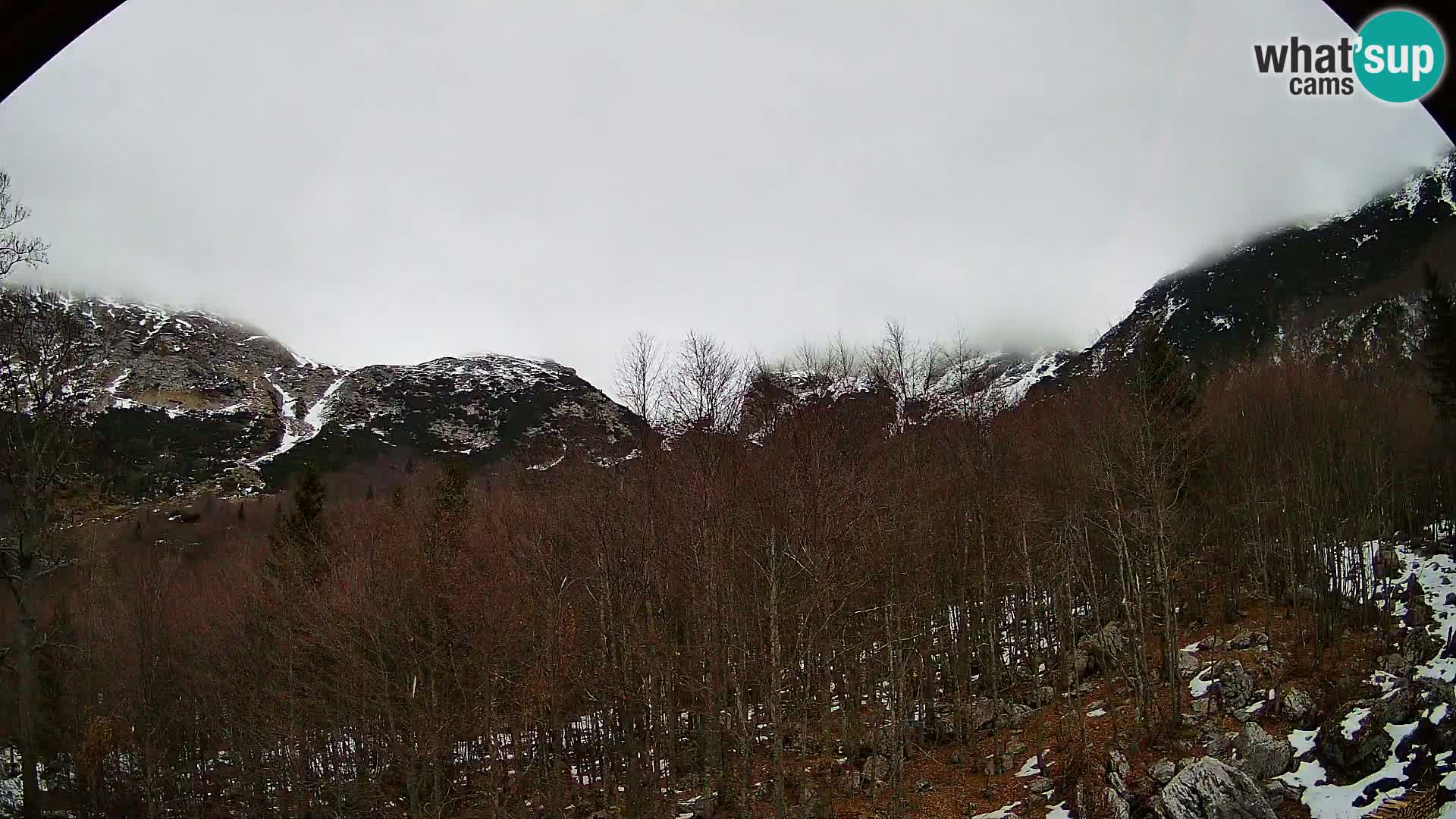 PLANINA RAZOR webcam (1315) | view to Vogel and Globoko