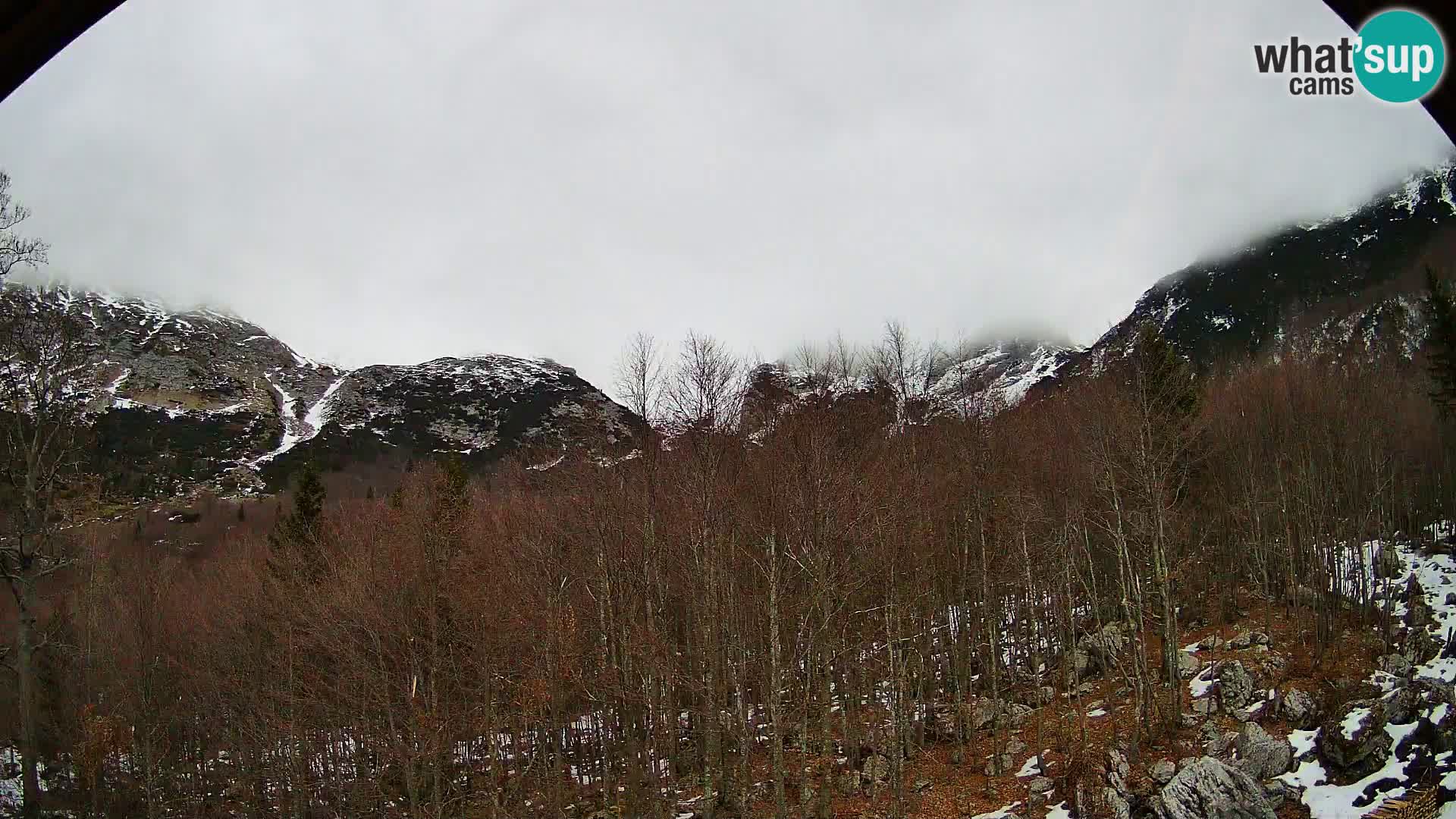 Webcam PLANINA RAZOR (1315) | Blick auf Vogel und Globoko