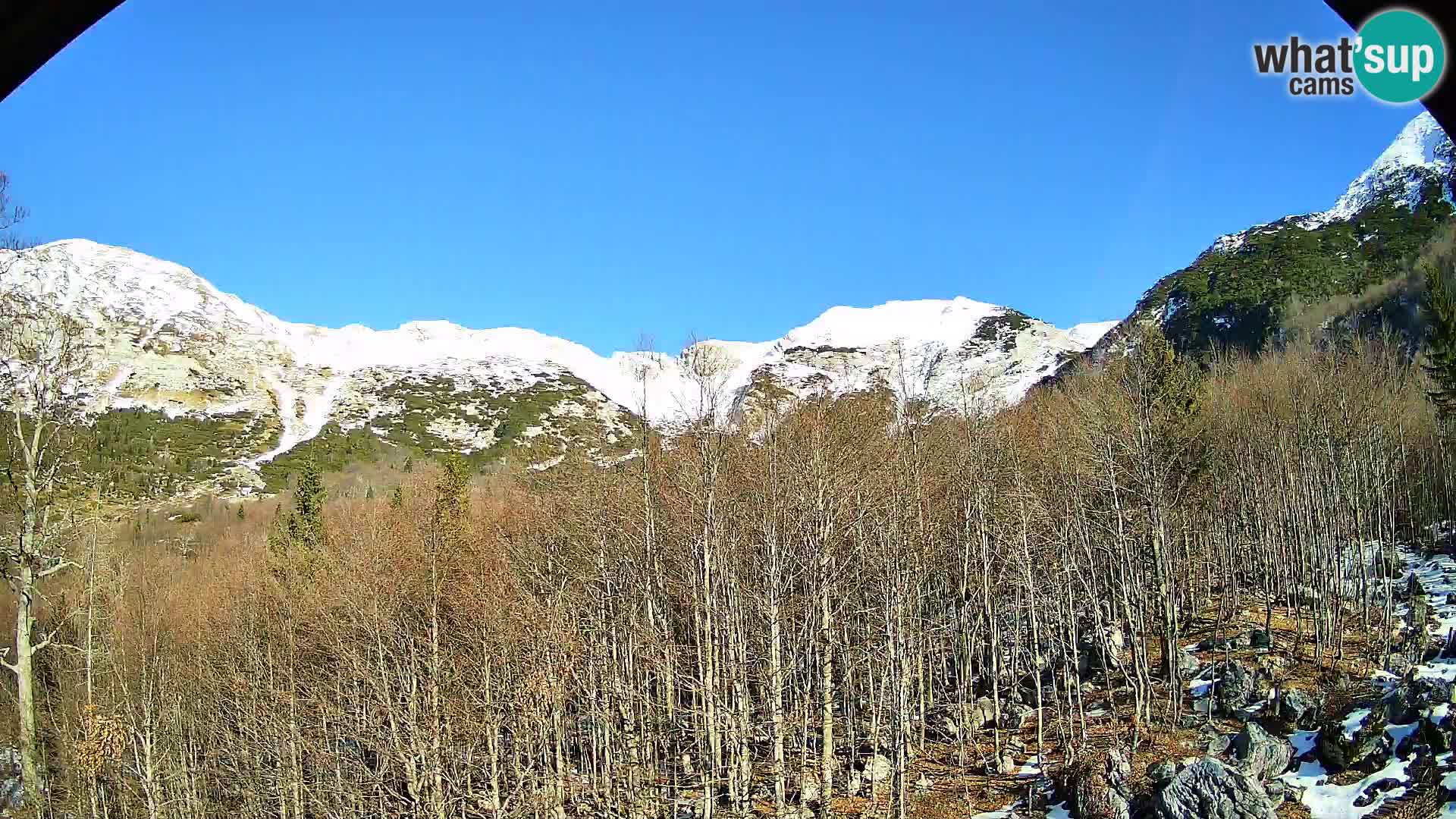 PLANINA RAZOR Live Cam (1315) | vista su Vogel e Globoko