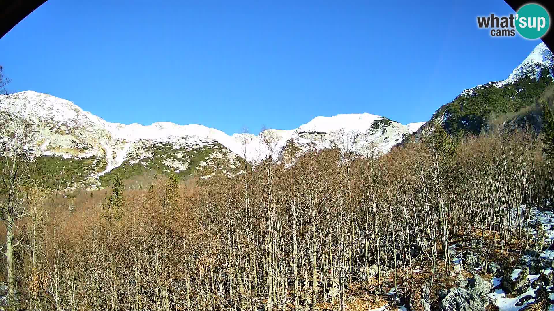 PLANINA RAZOR kamera (1315) | pogled na Vogel in Globoko