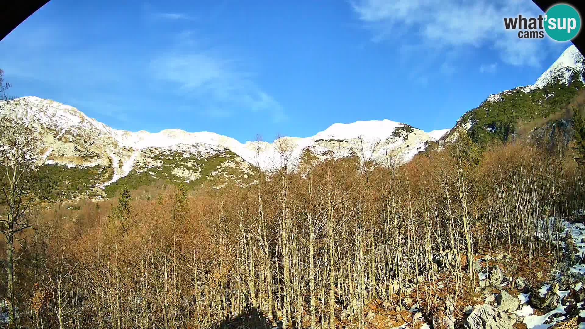 Webcam PLANINA RAZOR (1315) | Blick auf Vogel und Globoko