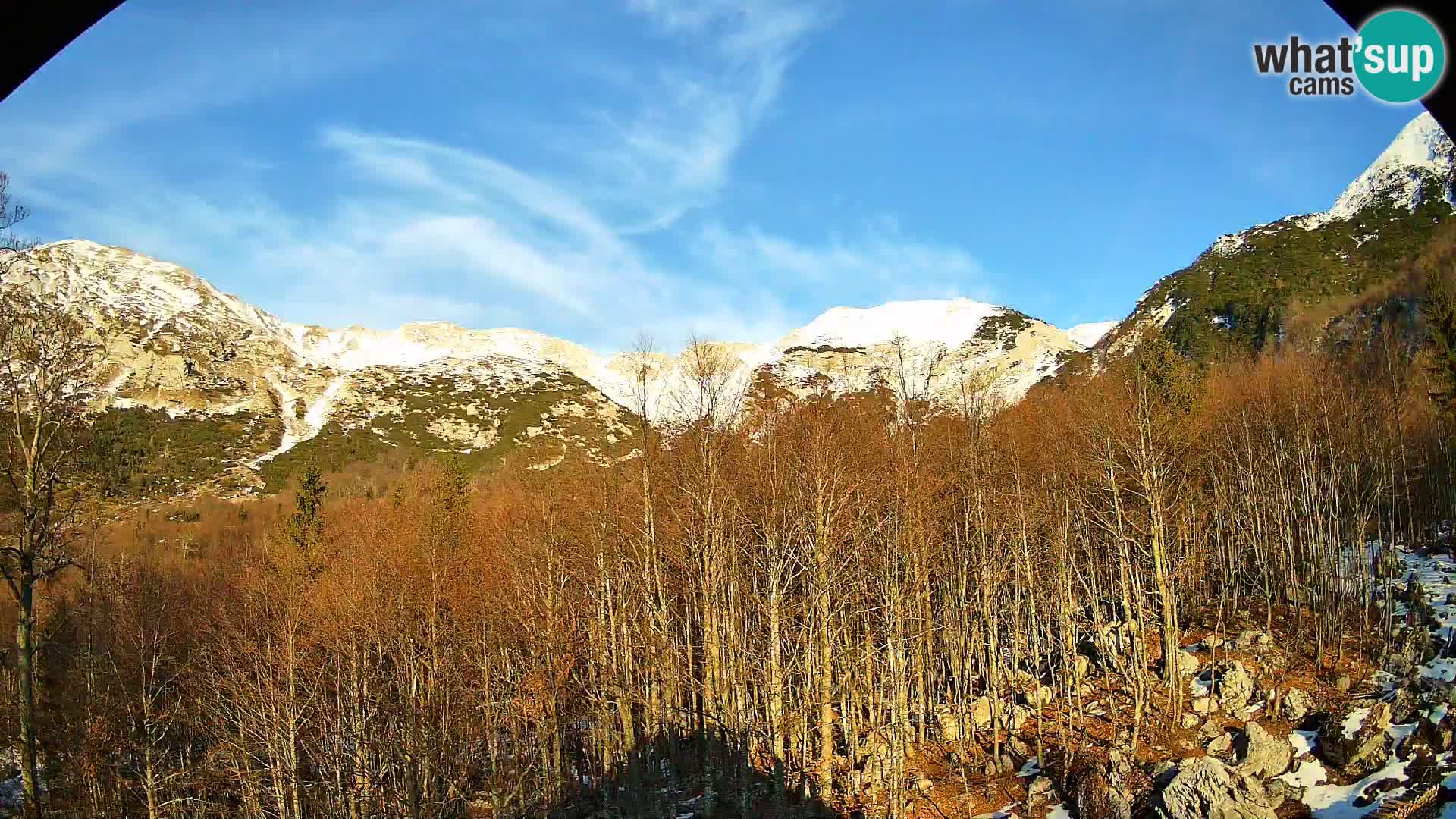Webcam PLANINA RAZOR (1315) | Blick auf Vogel und Globoko