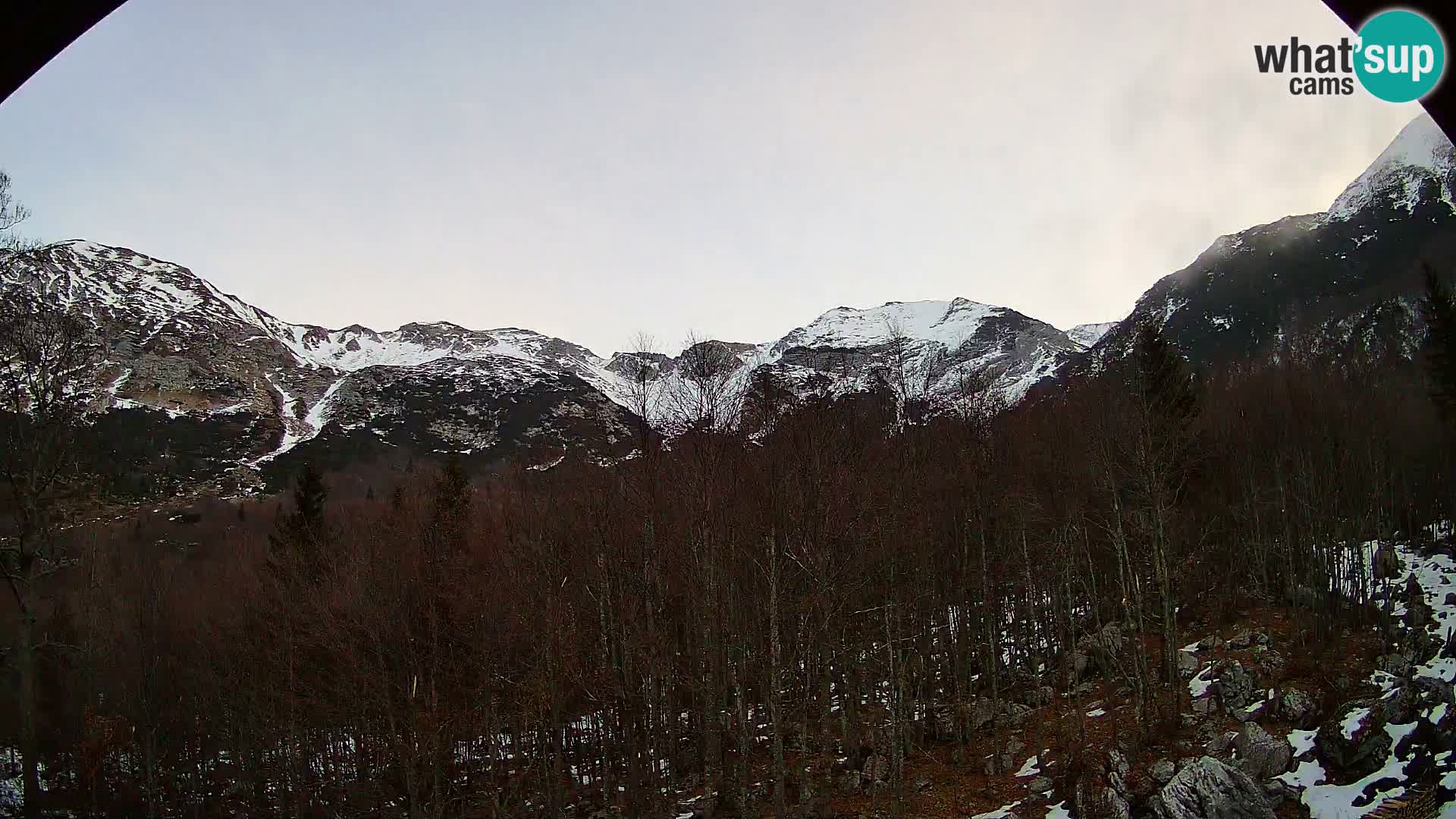 PLANINA RAZOR webcam (1315) | view to Vogel and Globoko