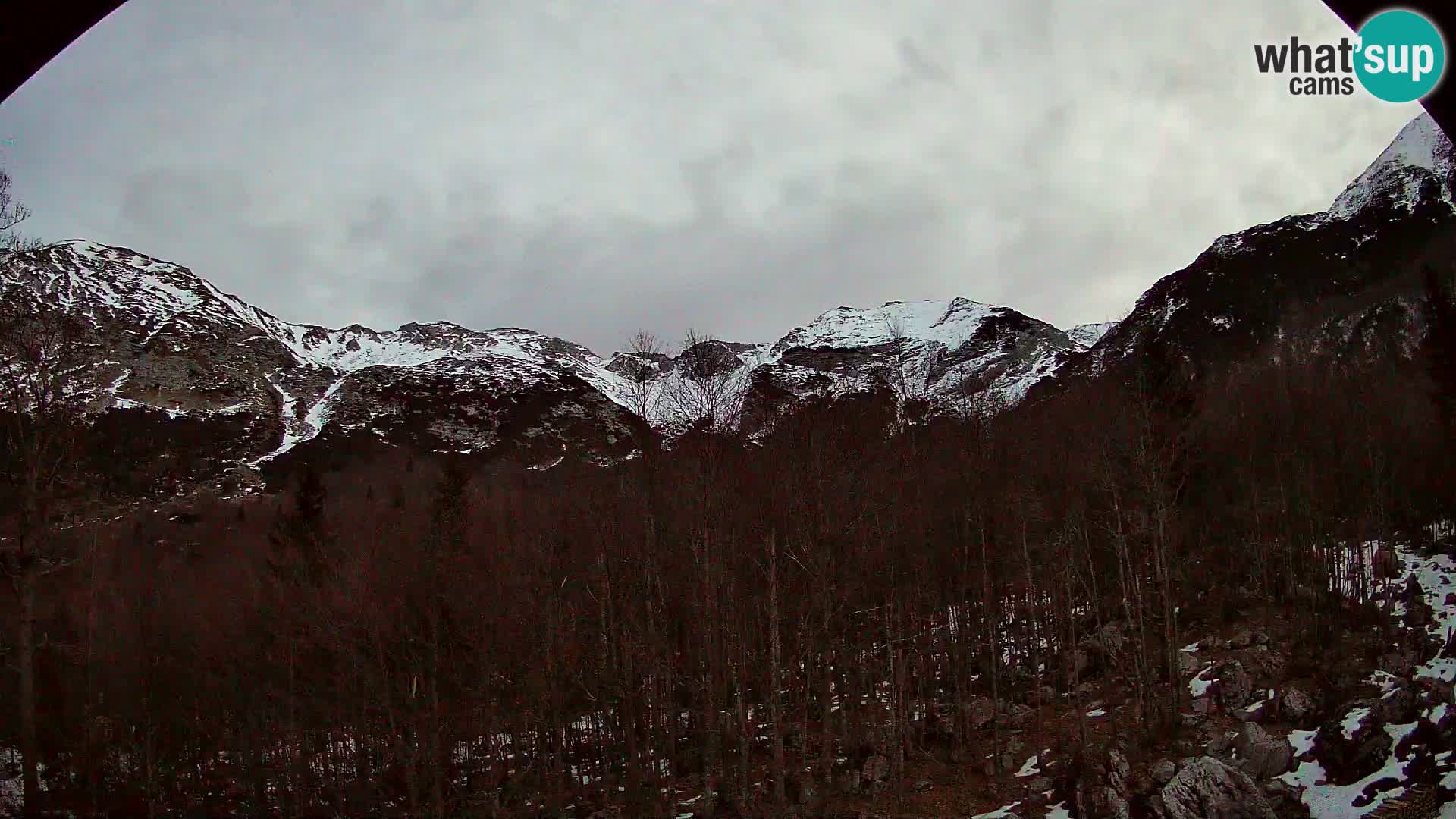 PLANINA RAZOR Live Cam (1315) | vista su Vogel e Globoko