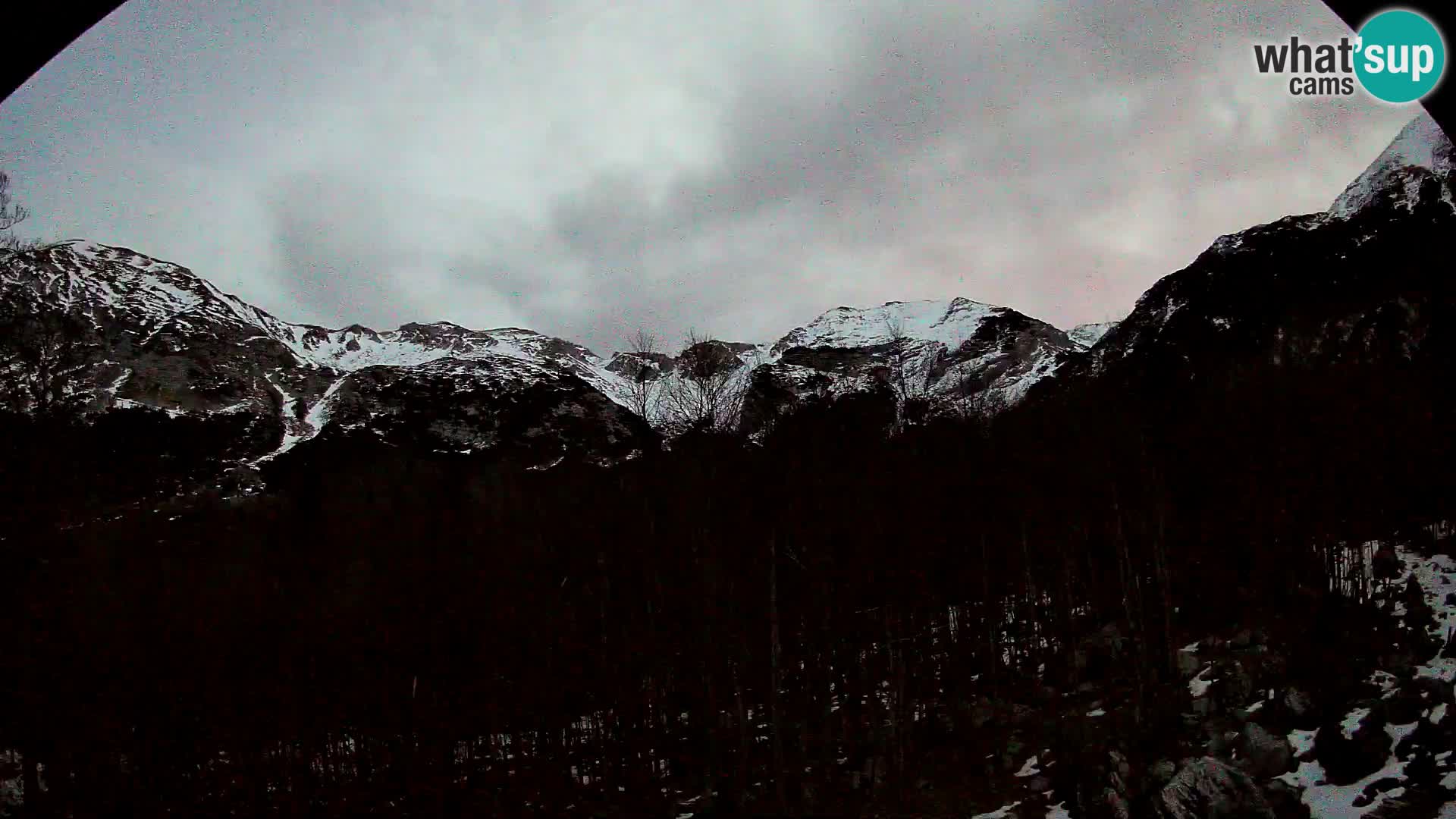 Webcam PLANINA RAZOR (1315) | Blick auf Vogel und Globoko