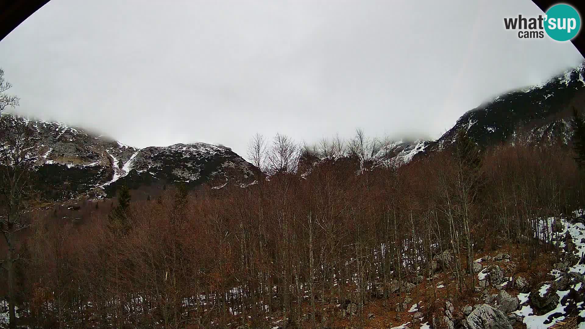 PLANINA RAZOR kamera (1315) | pogled na Vogel in Globoko