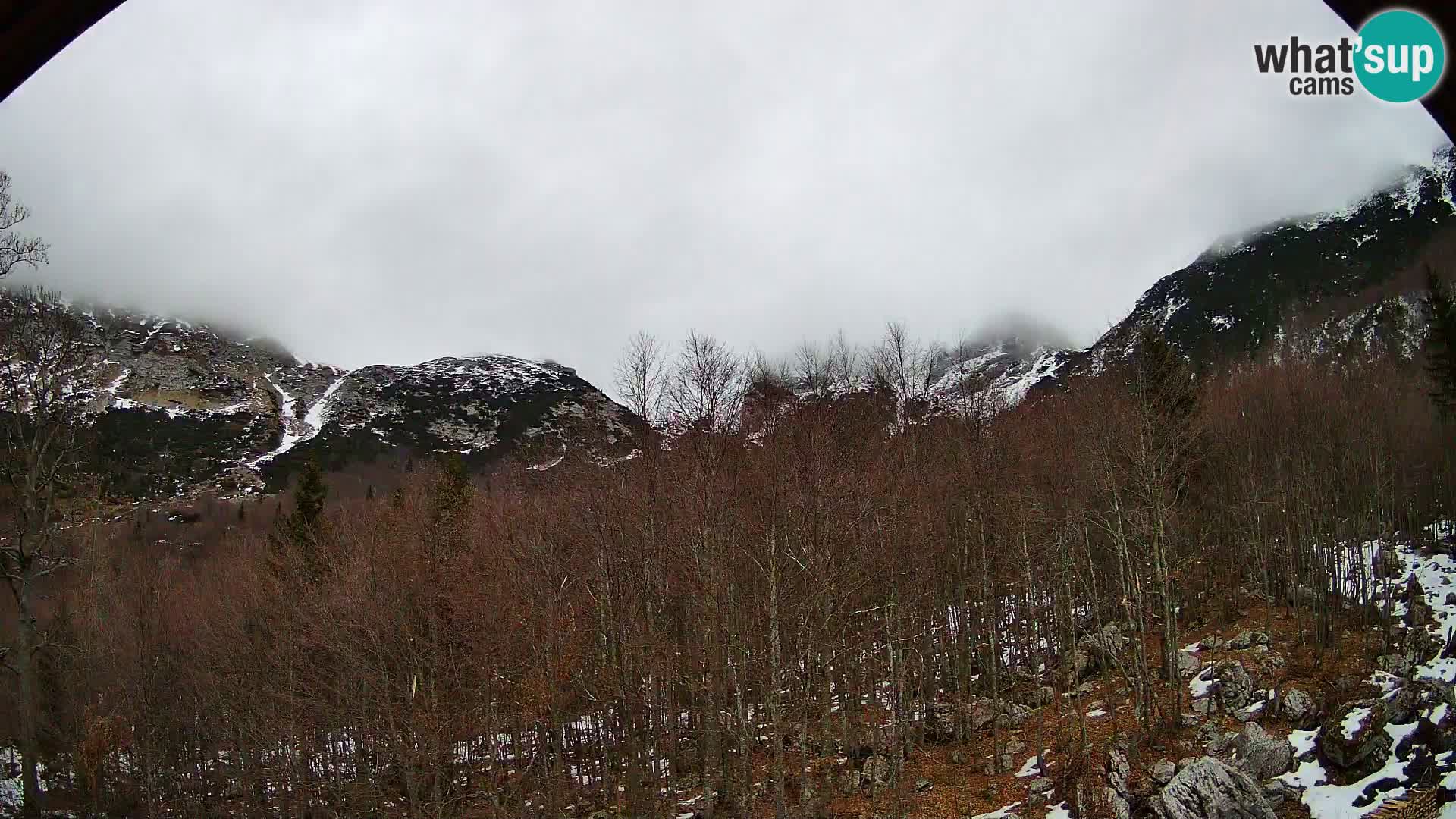 Webcam PLANINA RAZOR (1315) | Blick auf Vogel und Globoko