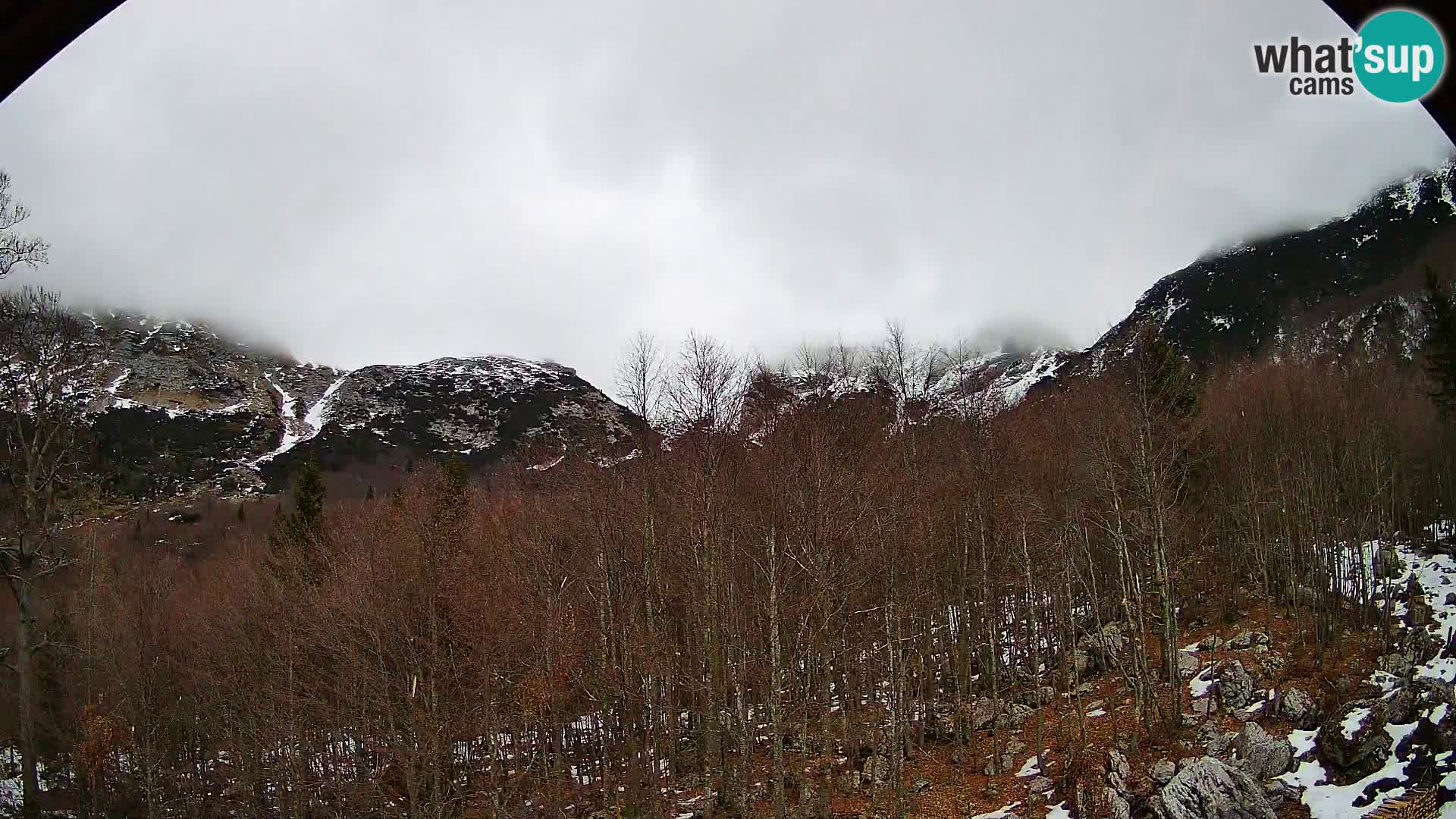 Webcam PLANINA RAZOR (1315) | Blick auf Vogel und Globoko