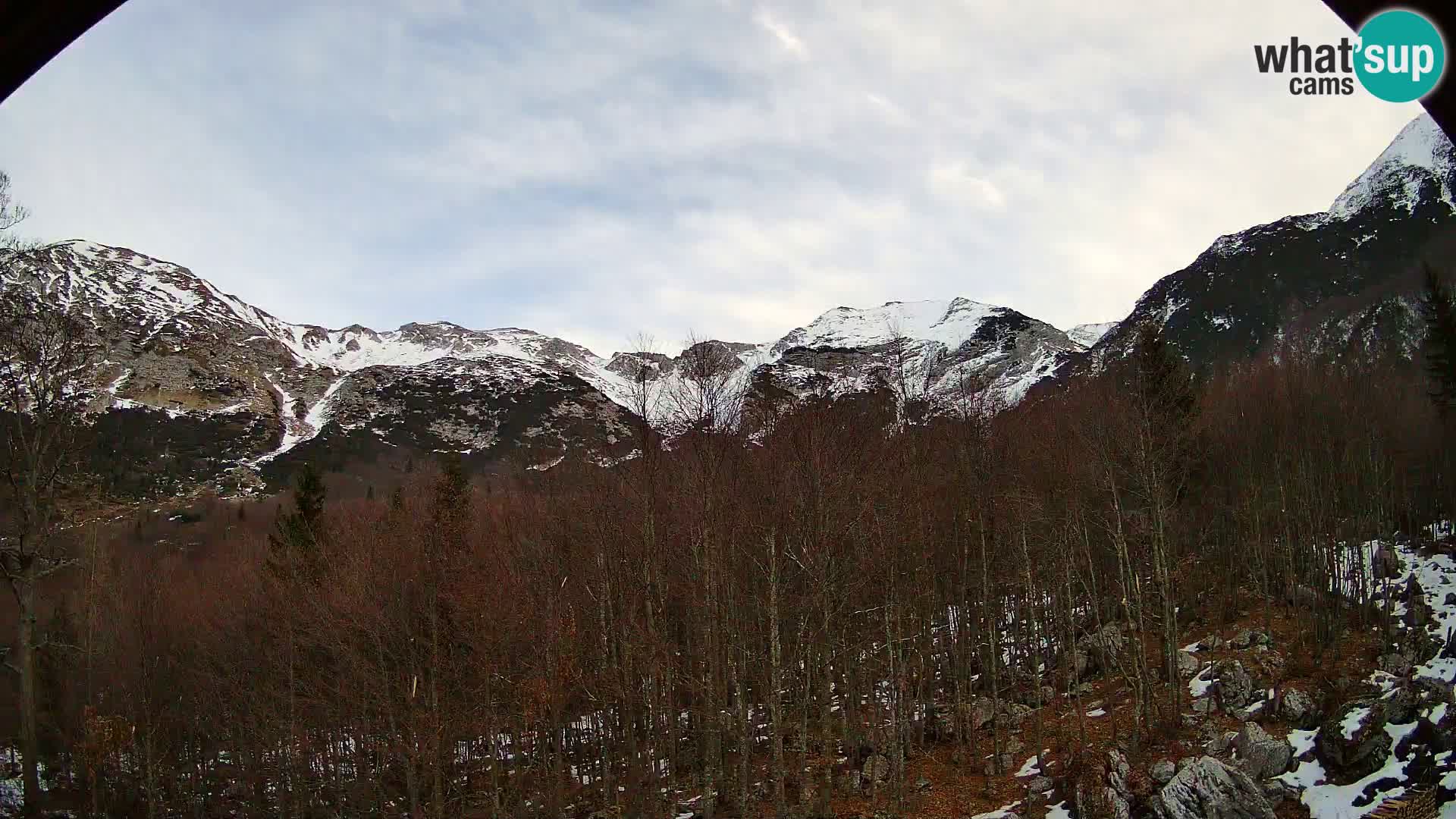 PLANINA RAZOR Live Cam (1315) | vista su Vogel e Globoko