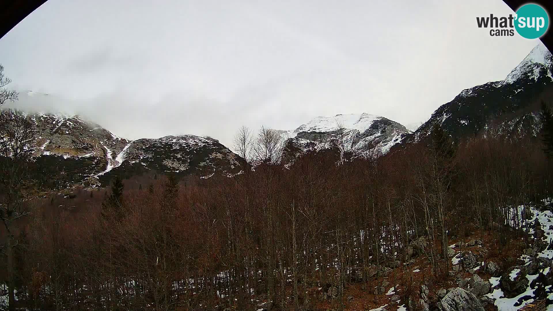 Livecam PLANINA RAZOR (1315) | vue sur Vogel et Globoko