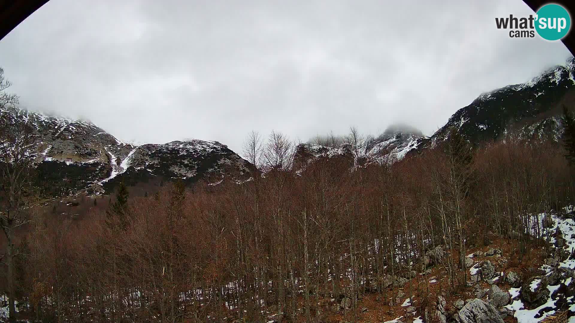 PLANINA RAZOR web kamera (1315) | pogled na Vogel i Globoko