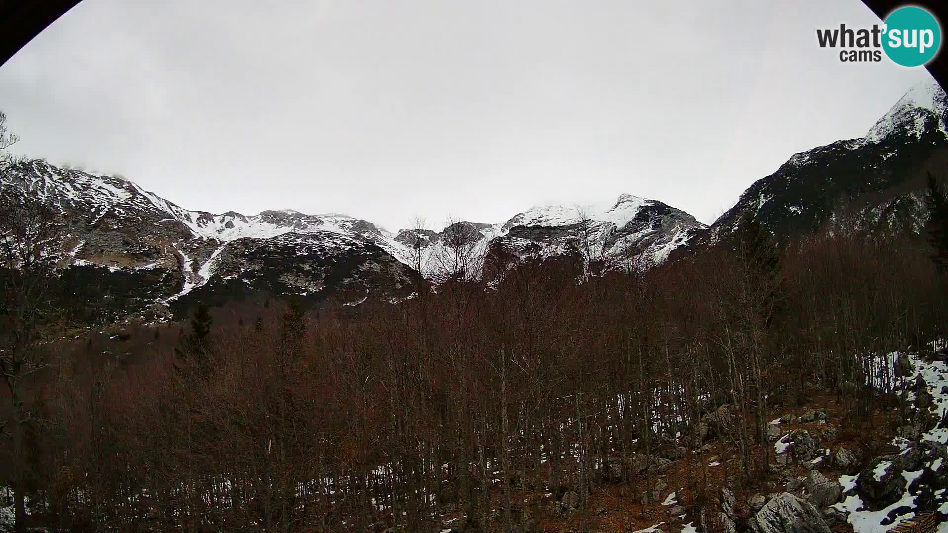 Webcam PLANINA RAZOR (1315) | Blick auf Vogel und Globoko