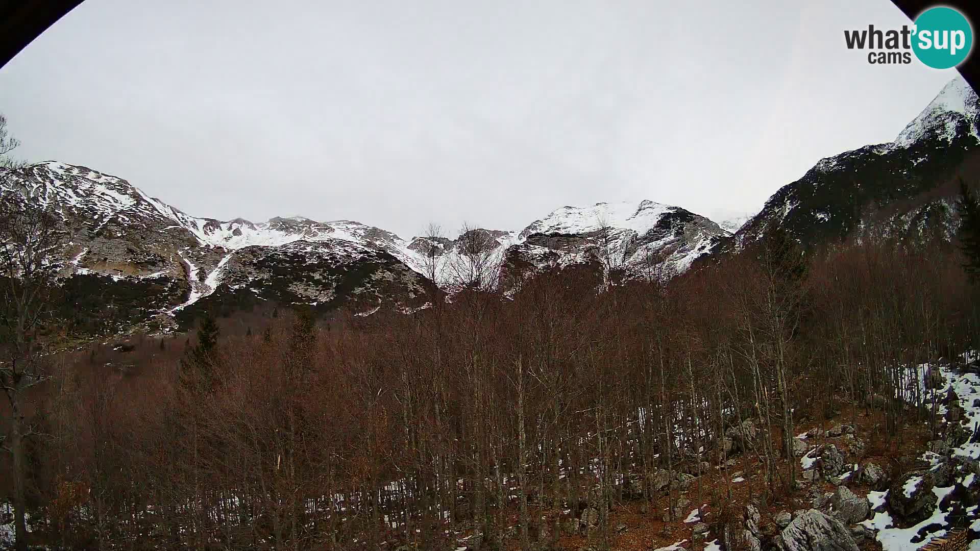 Webcam PLANINA RAZOR (1315) | Blick auf Vogel und Globoko