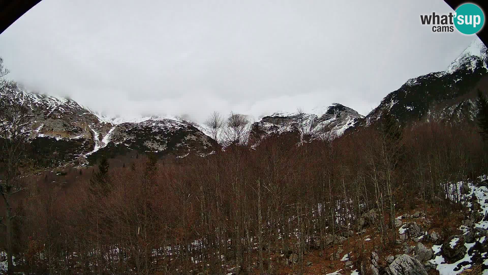 PLANINA RAZOR Live Cam (1315) | vista su Vogel e Globoko