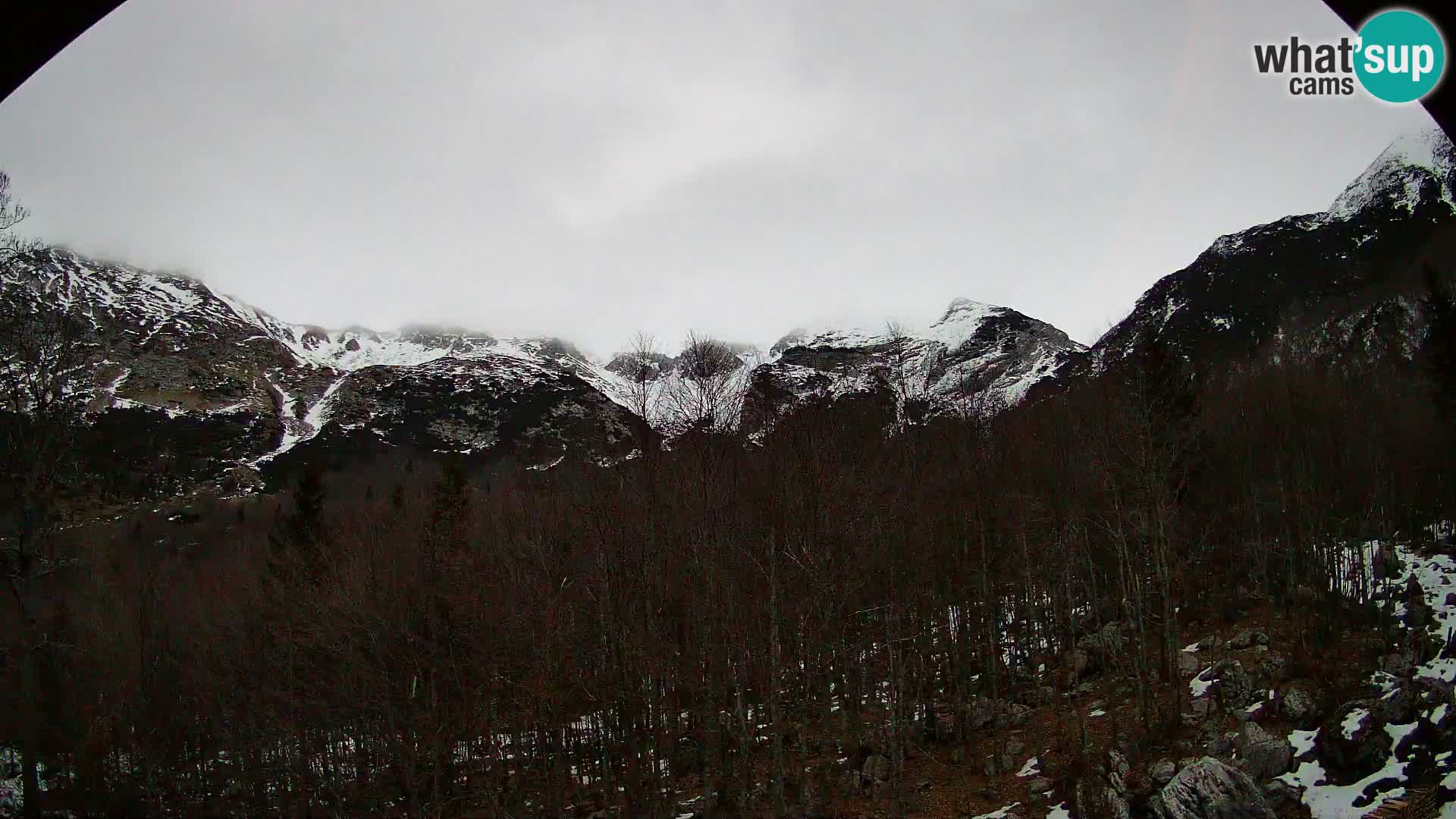 Cámara web PLANINA RAZOR (1315) | vista a Vogel y Globoko