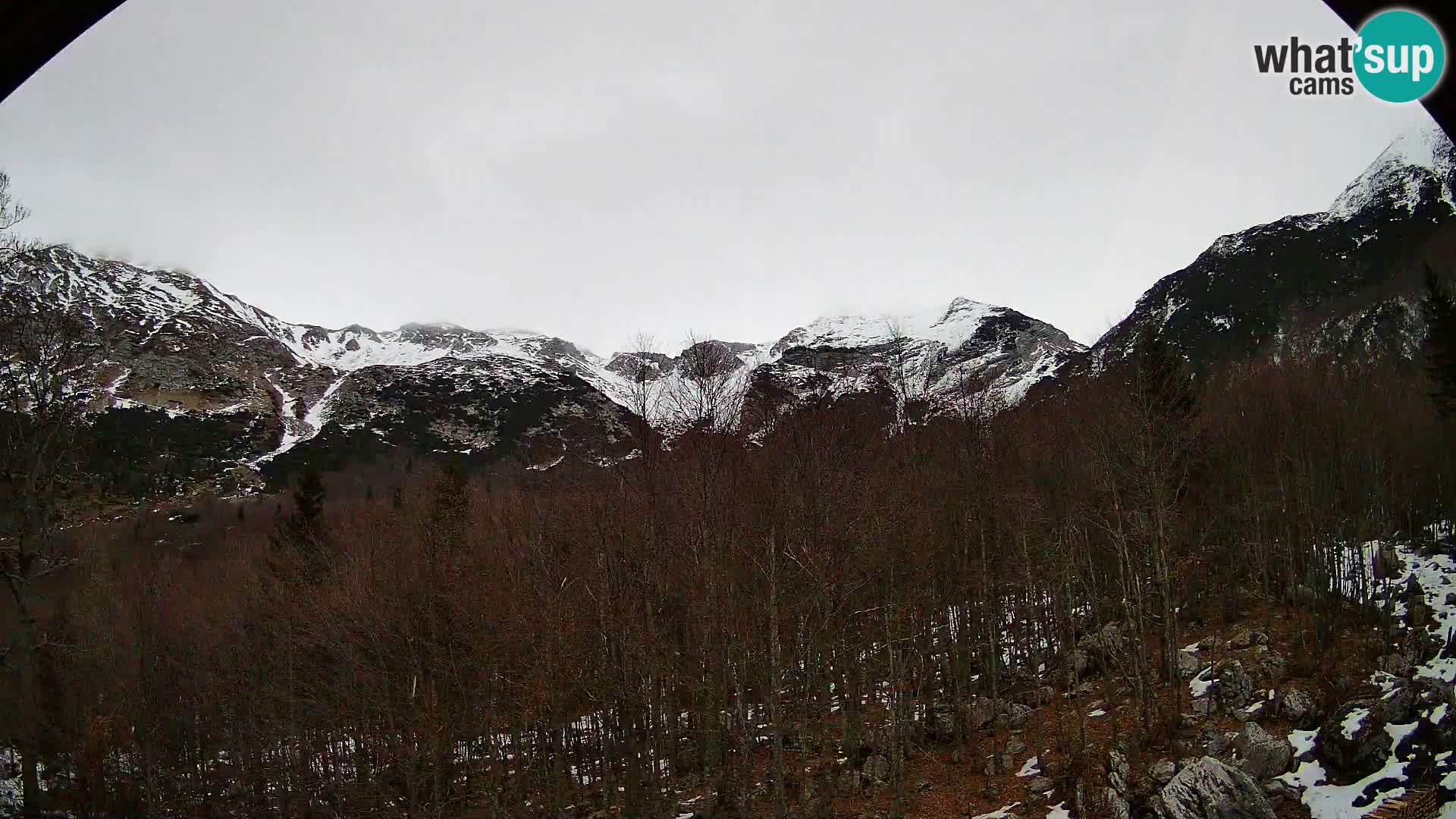PLANINA RAZOR Live Cam (1315) | vista su Vogel e Globoko