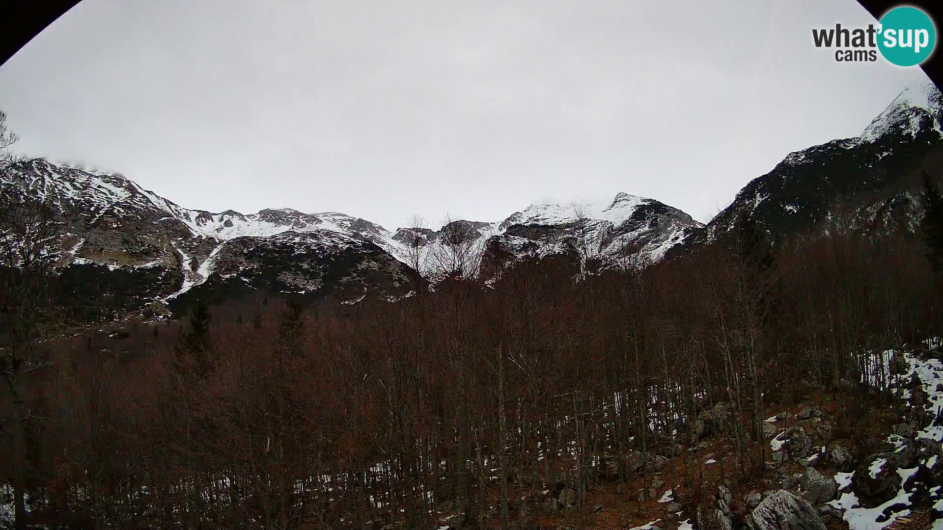 PLANINA RAZOR web kamera (1315) | pogled na Vogel i Globoko