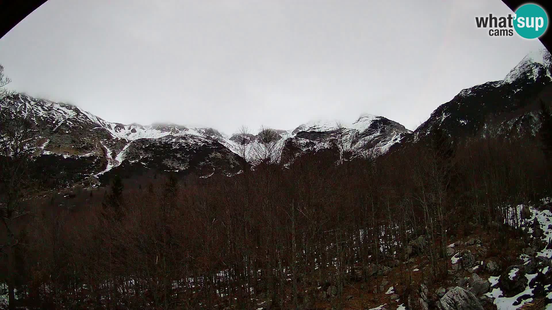 Livecam PLANINA RAZOR (1315) | vue sur Vogel et Globoko