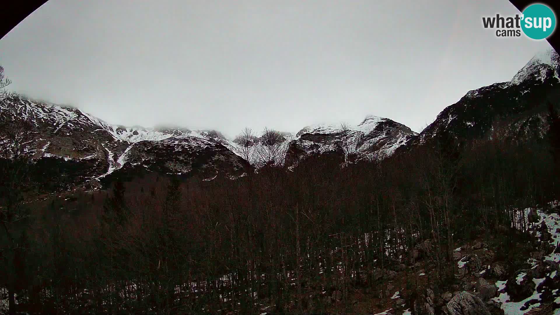 PLANINA RAZOR Live Cam (1315) | vista su Vogel e Globoko