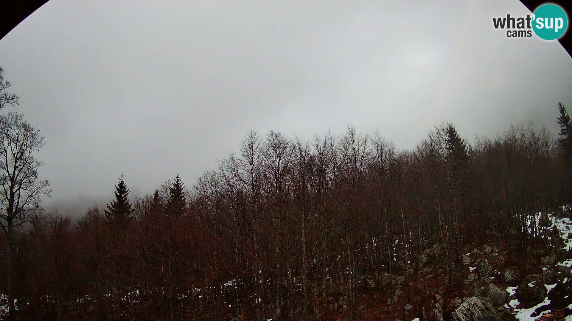 Livecam PLANINA RAZOR (1315) | vue sur Vogel et Globoko