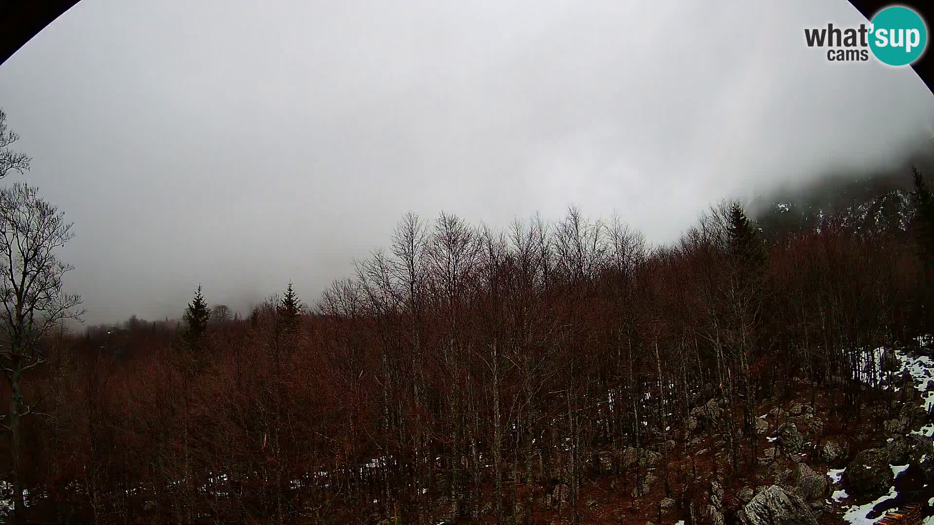 PLANINA RAZOR webcam (1315) | view to Vogel and Globoko