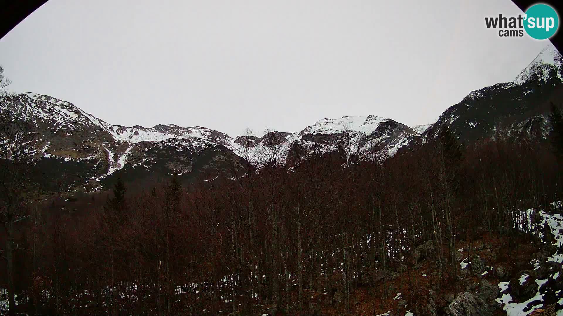 PLANINA RAZOR kamera (1315) | pogled na Vogel in Globoko