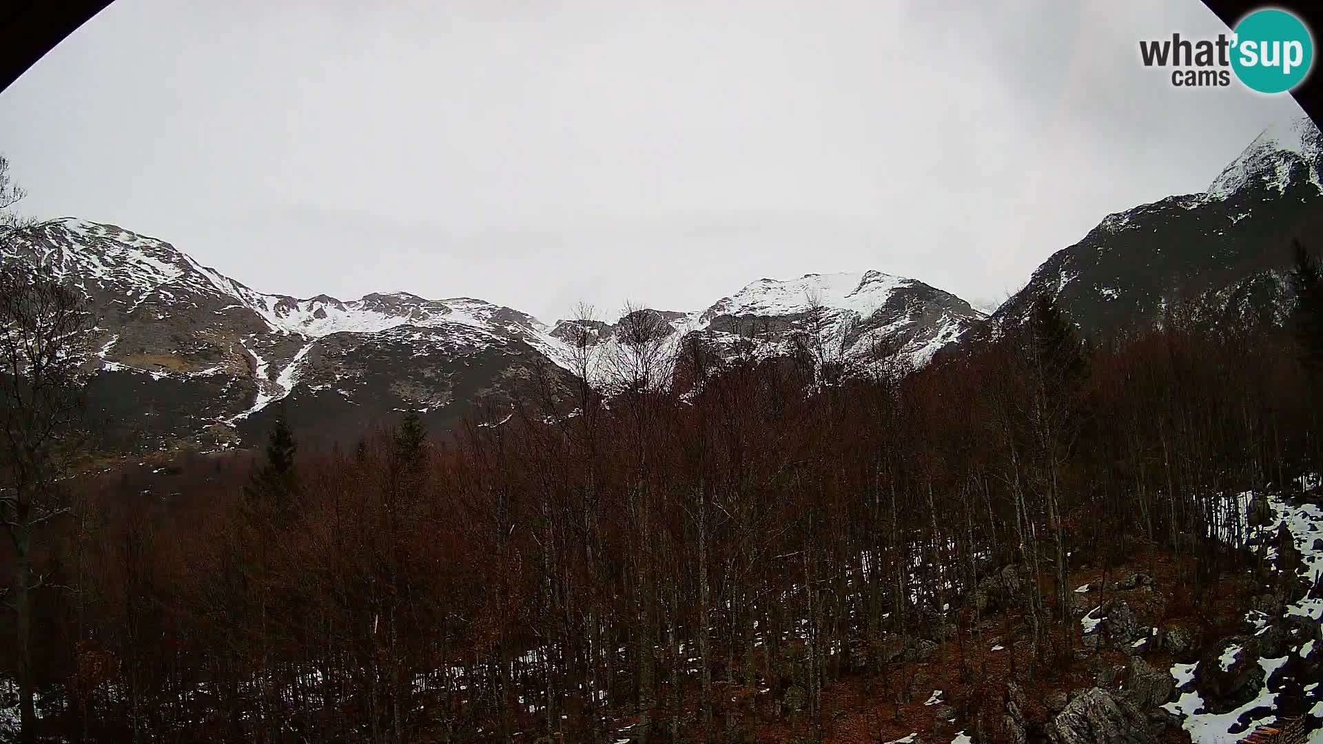 Cámara web PLANINA RAZOR (1315) | vista a Vogel y Globoko