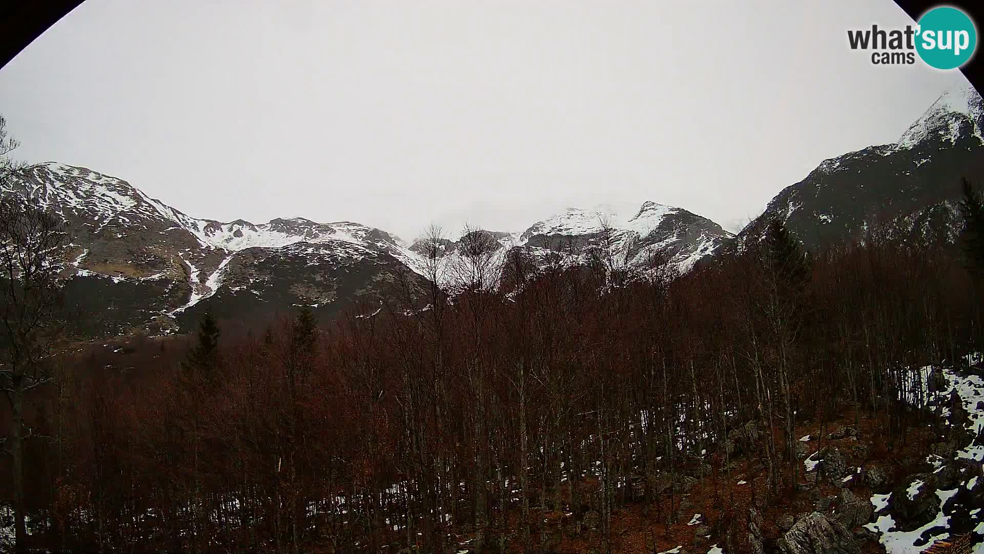 Webcam PLANINA RAZOR (1315) | Blick auf Vogel und Globoko