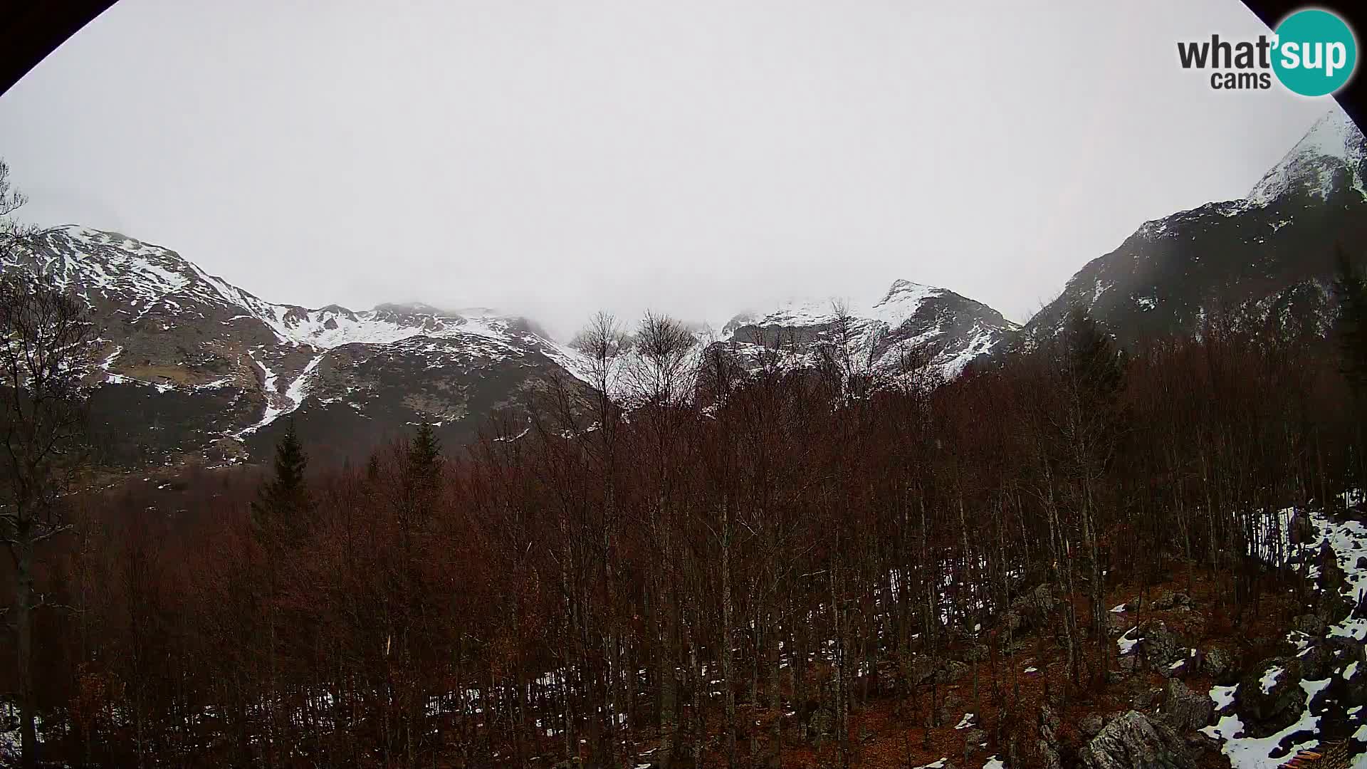 PLANINA RAZOR webcam (1315) | view to Vogel and Globoko