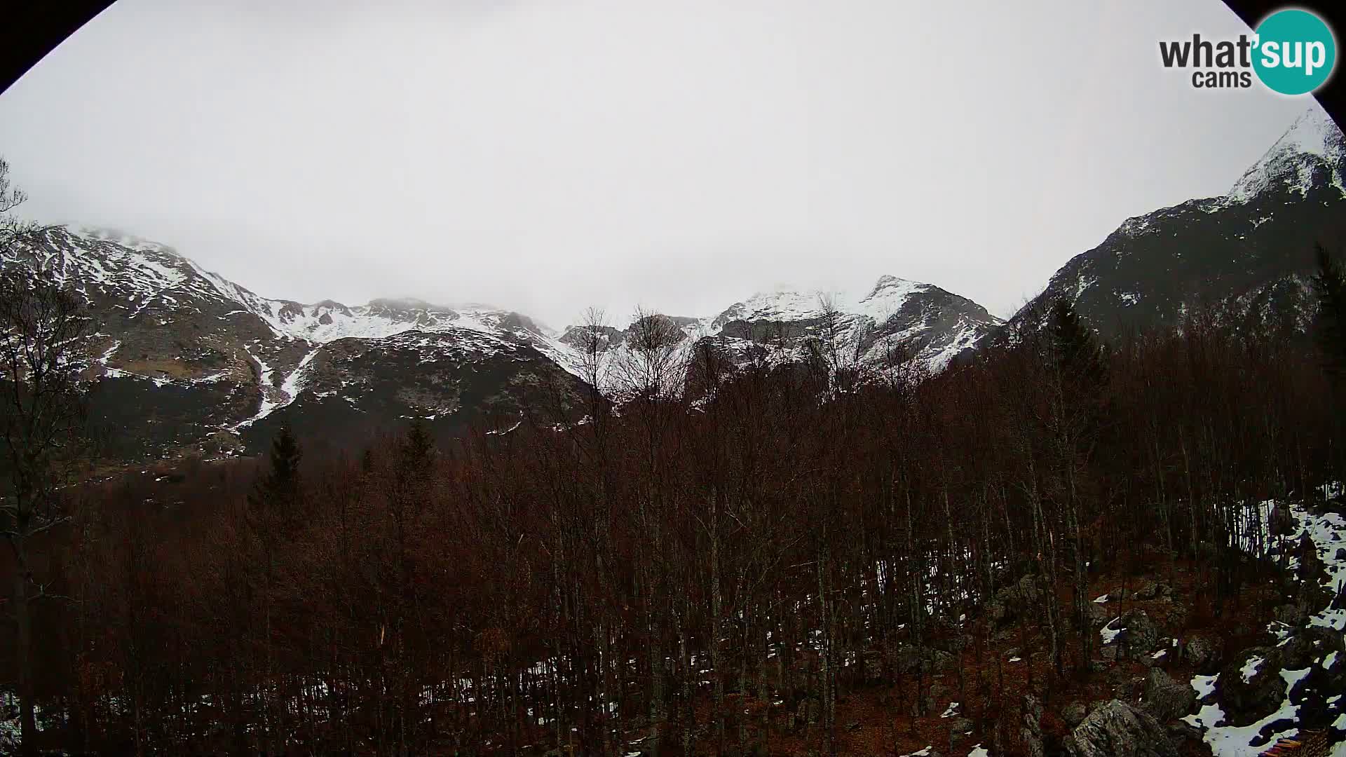 Webcam PLANINA RAZOR (1315) | Blick auf Vogel und Globoko