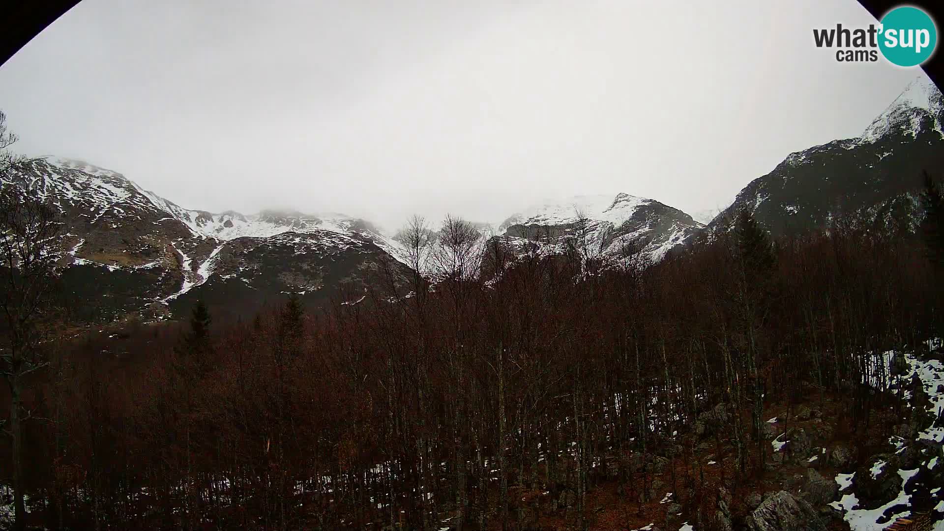 Webcam PLANINA RAZOR (1315) | Blick auf Vogel und Globoko