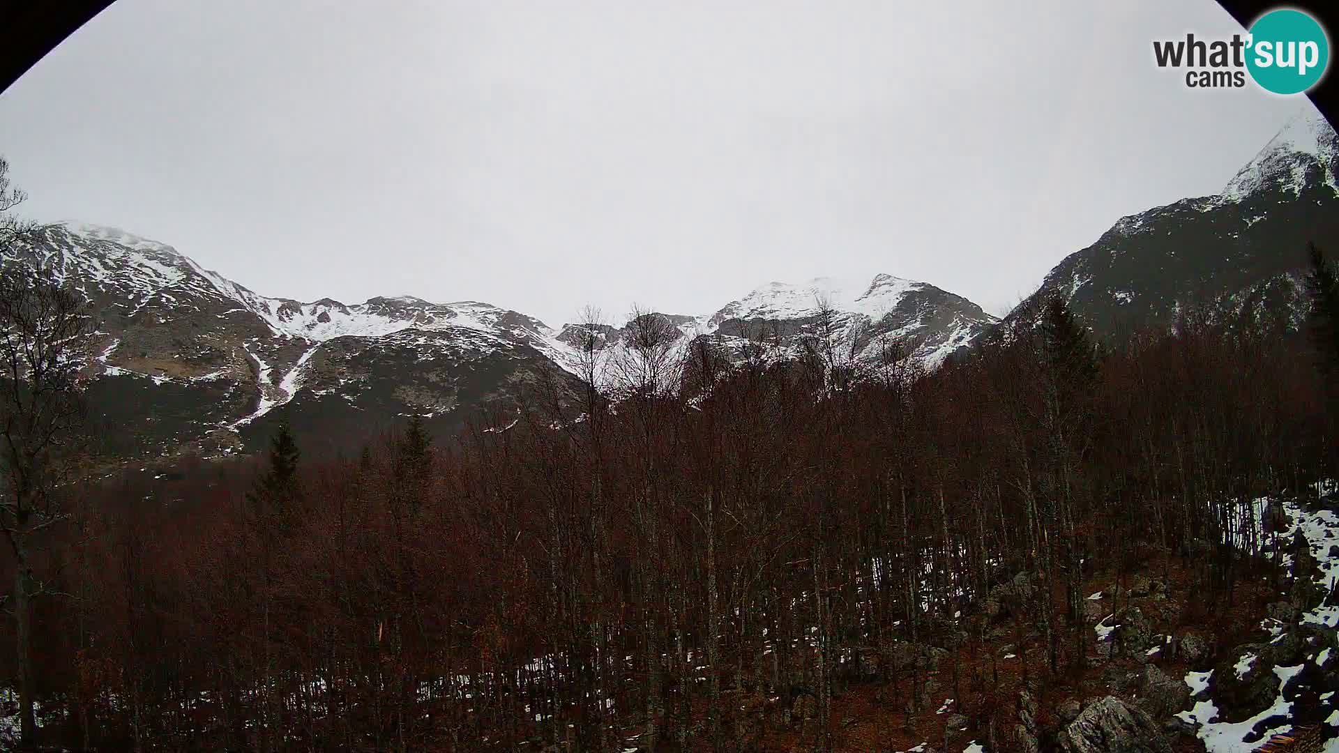 PLANINA RAZOR kamera (1315) | pogled na Vogel in Globoko