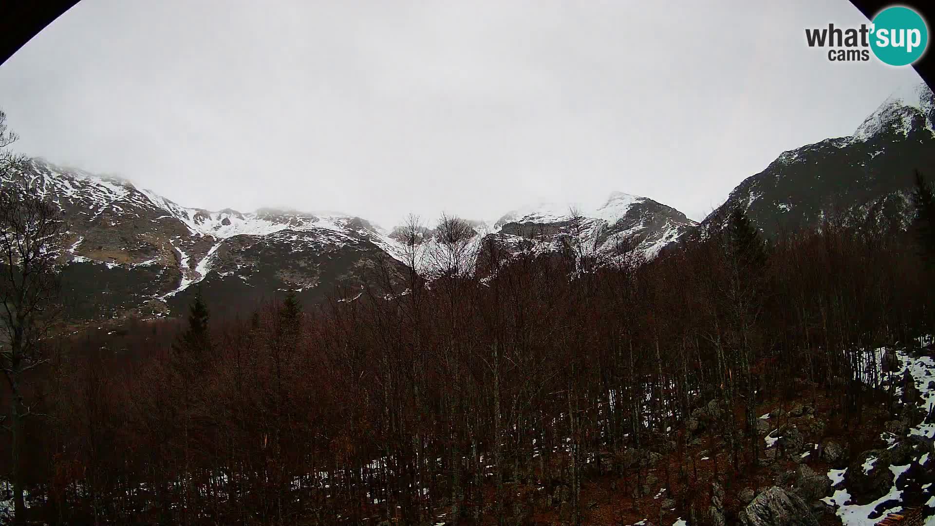 Webcam PLANINA RAZOR (1315) | Blick auf Vogel und Globoko