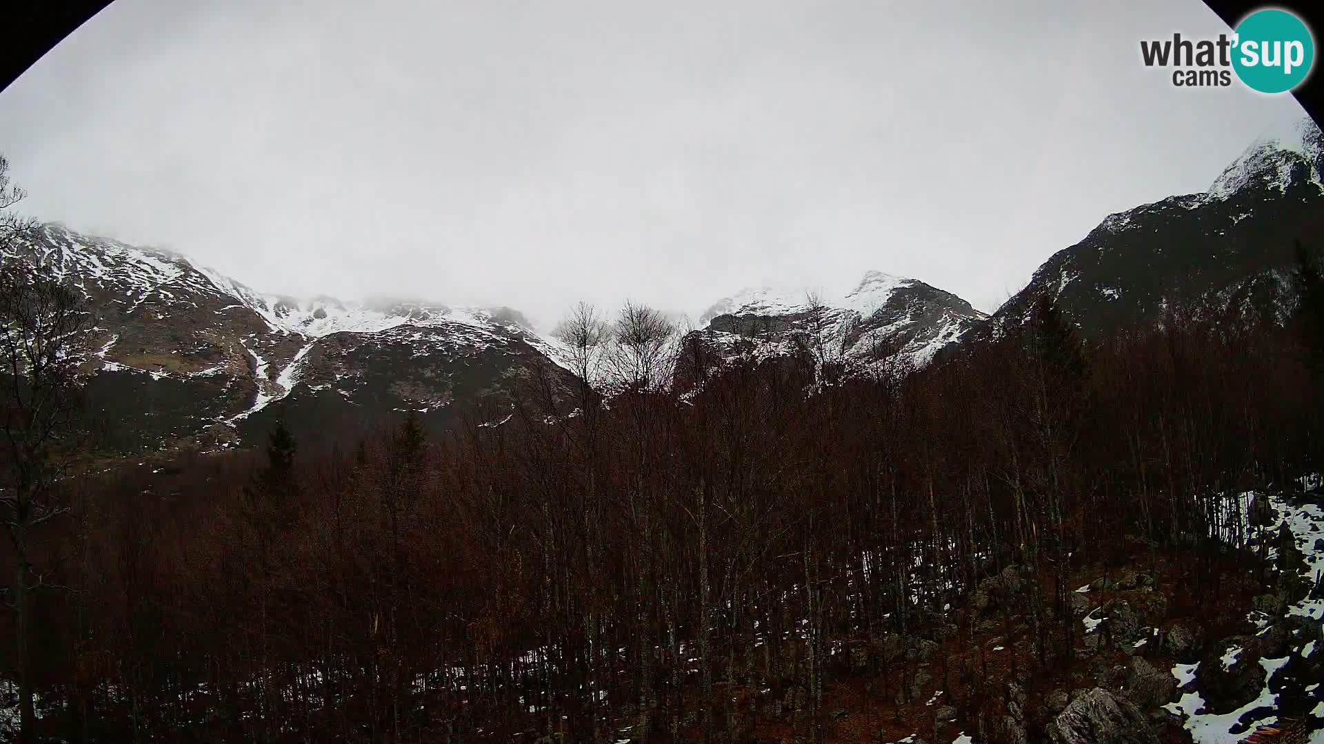 PLANINA RAZOR Live Cam (1315) | vista su Vogel e Globoko