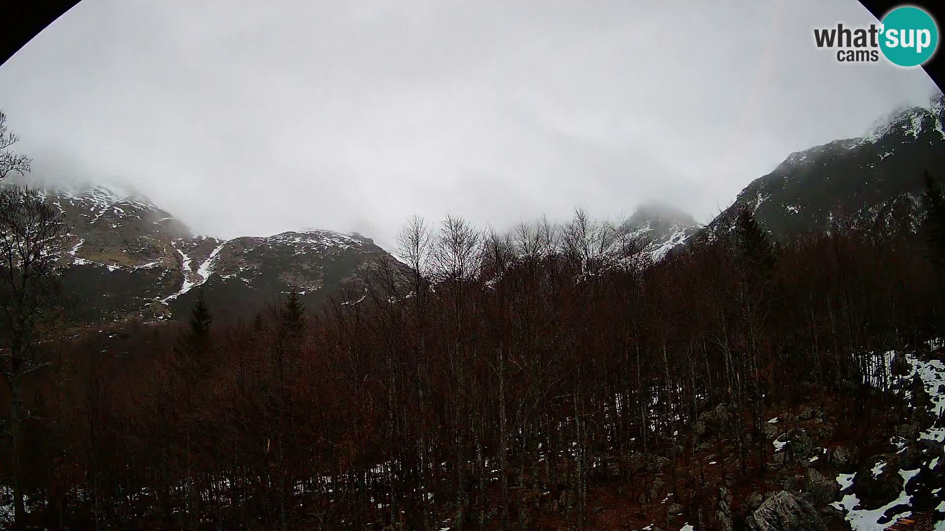 PLANINA RAZOR webcam (1315) | view to Vogel and Globoko