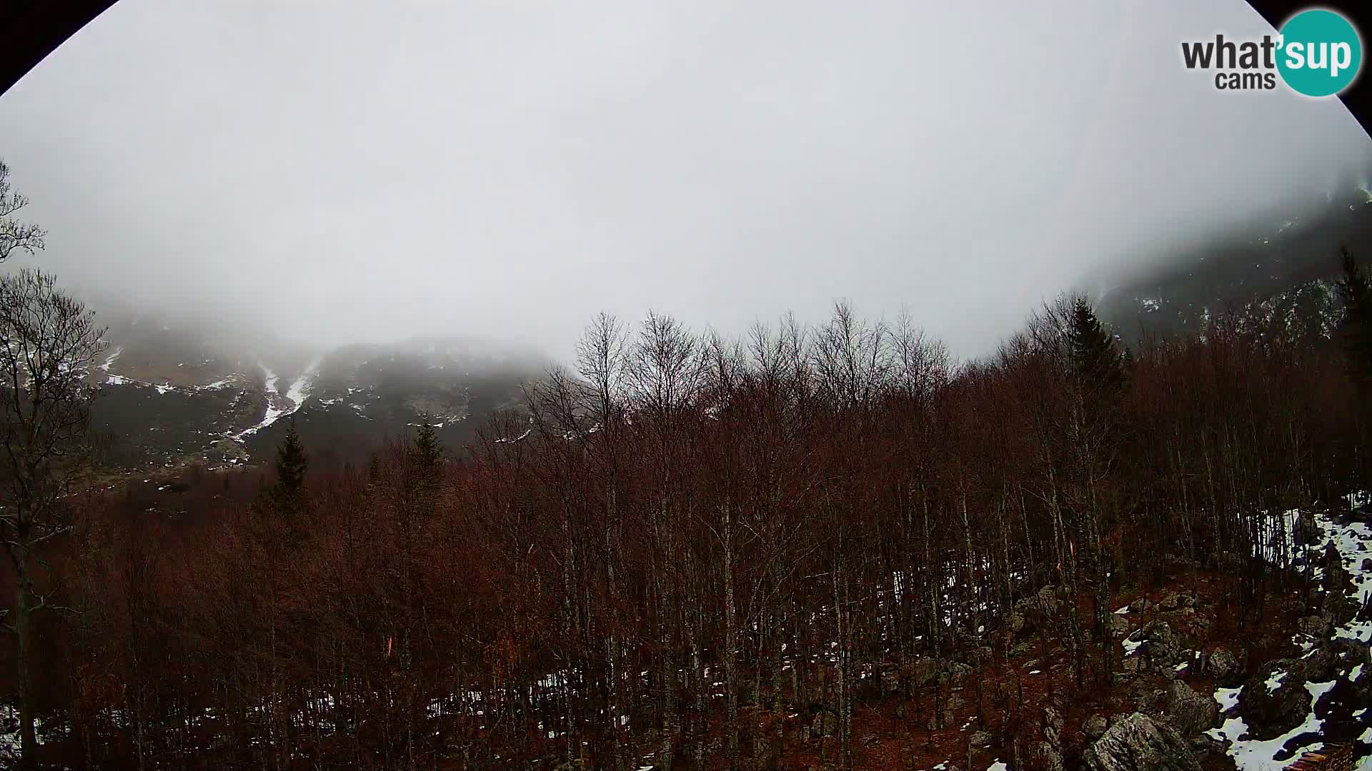 Livecam PLANINA RAZOR (1315) | vue sur Vogel et Globoko