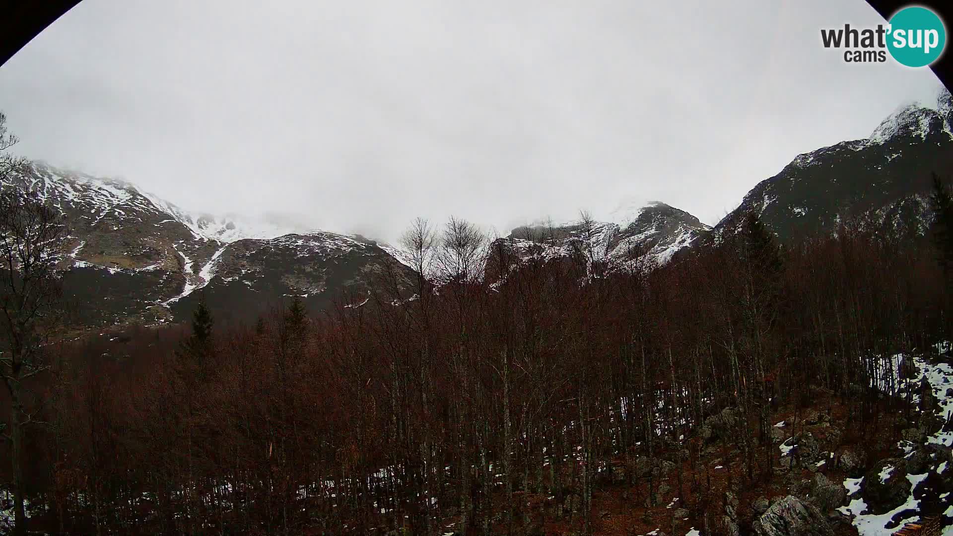 PLANINA RAZOR webcam (1315) | view to Vogel and Globoko