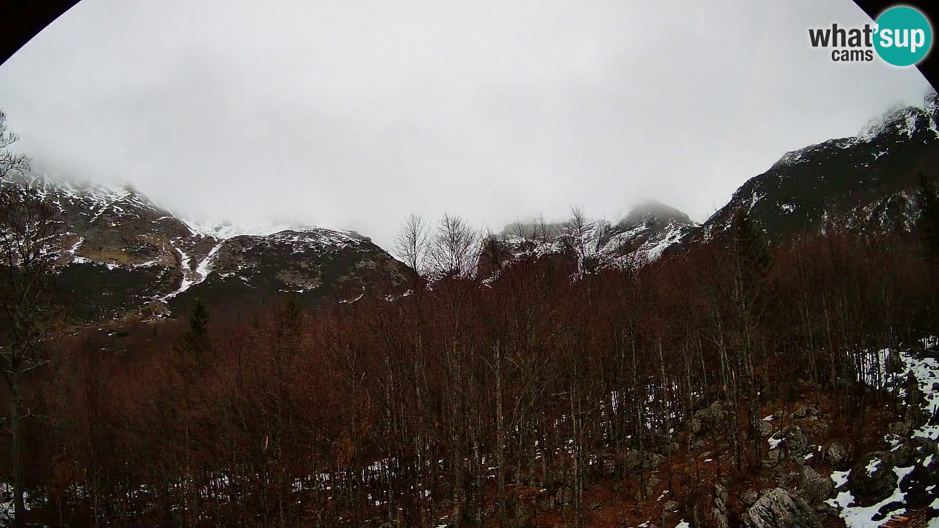 PLANINA RAZOR webcam (1315) | view to Vogel and Globoko