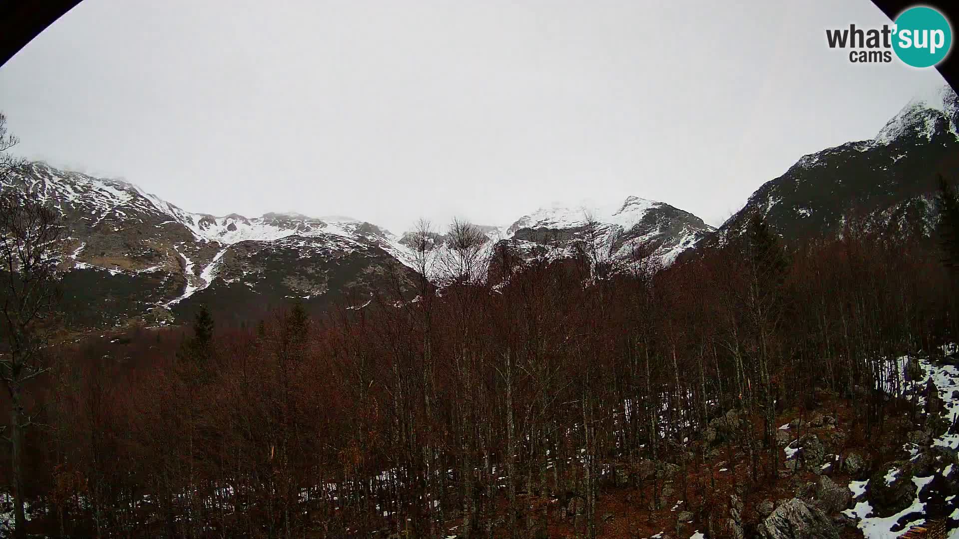 Livecam PLANINA RAZOR (1315) | vue sur Vogel et Globoko