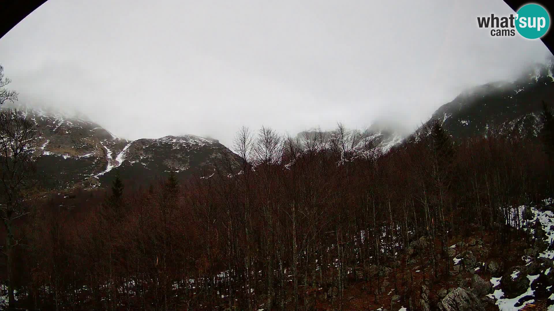 PLANINA RAZOR kamera (1315) | pogled na Vogel in Globoko