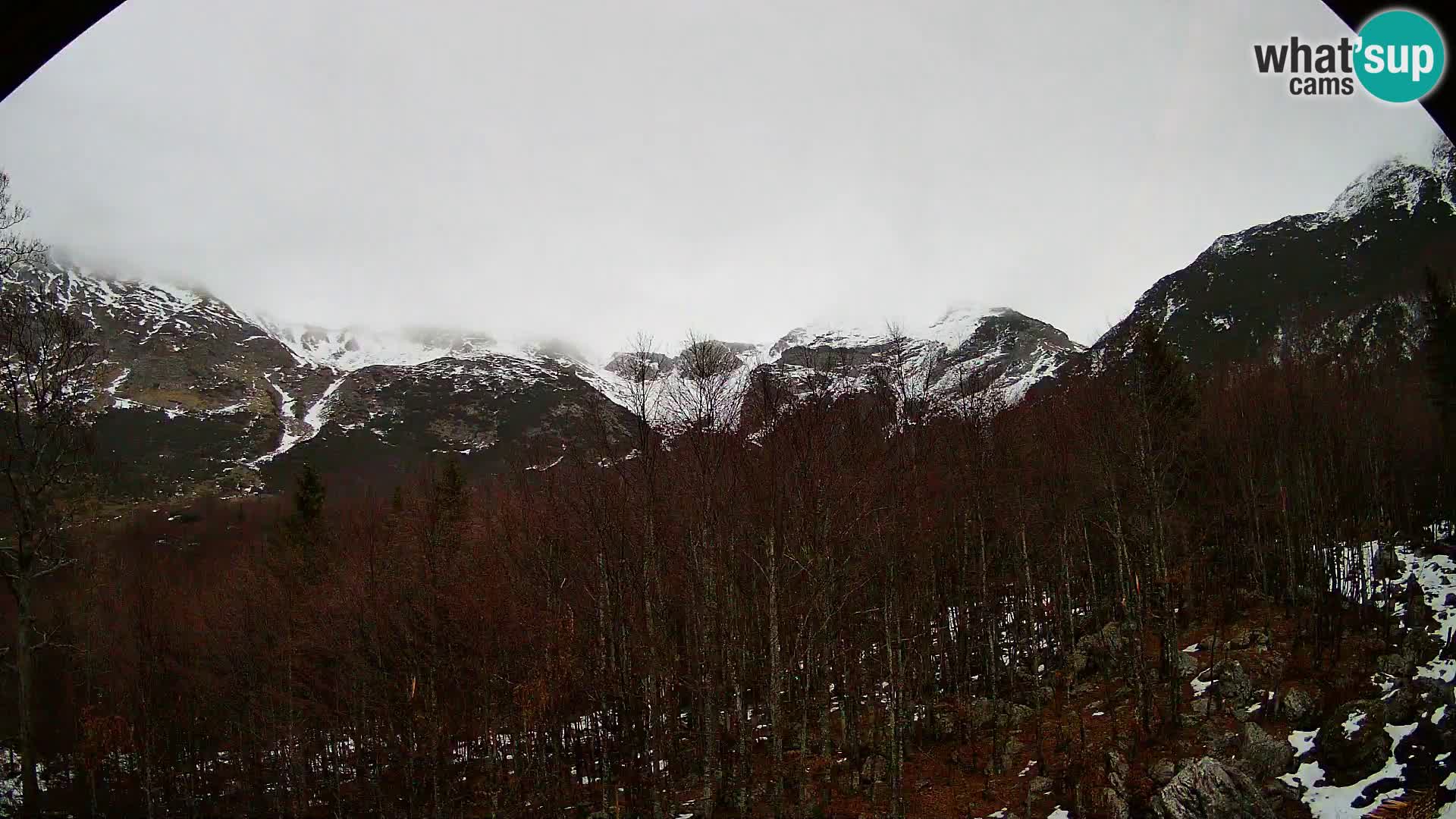 PLANINA RAZOR Live Cam (1315) | vista su Vogel e Globoko