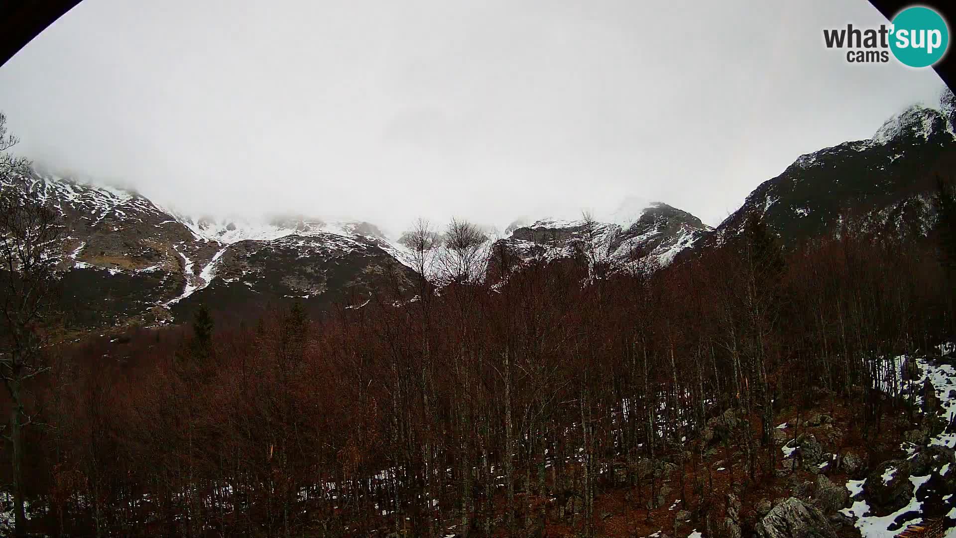 Webcam PLANINA RAZOR (1315) | Blick auf Vogel und Globoko