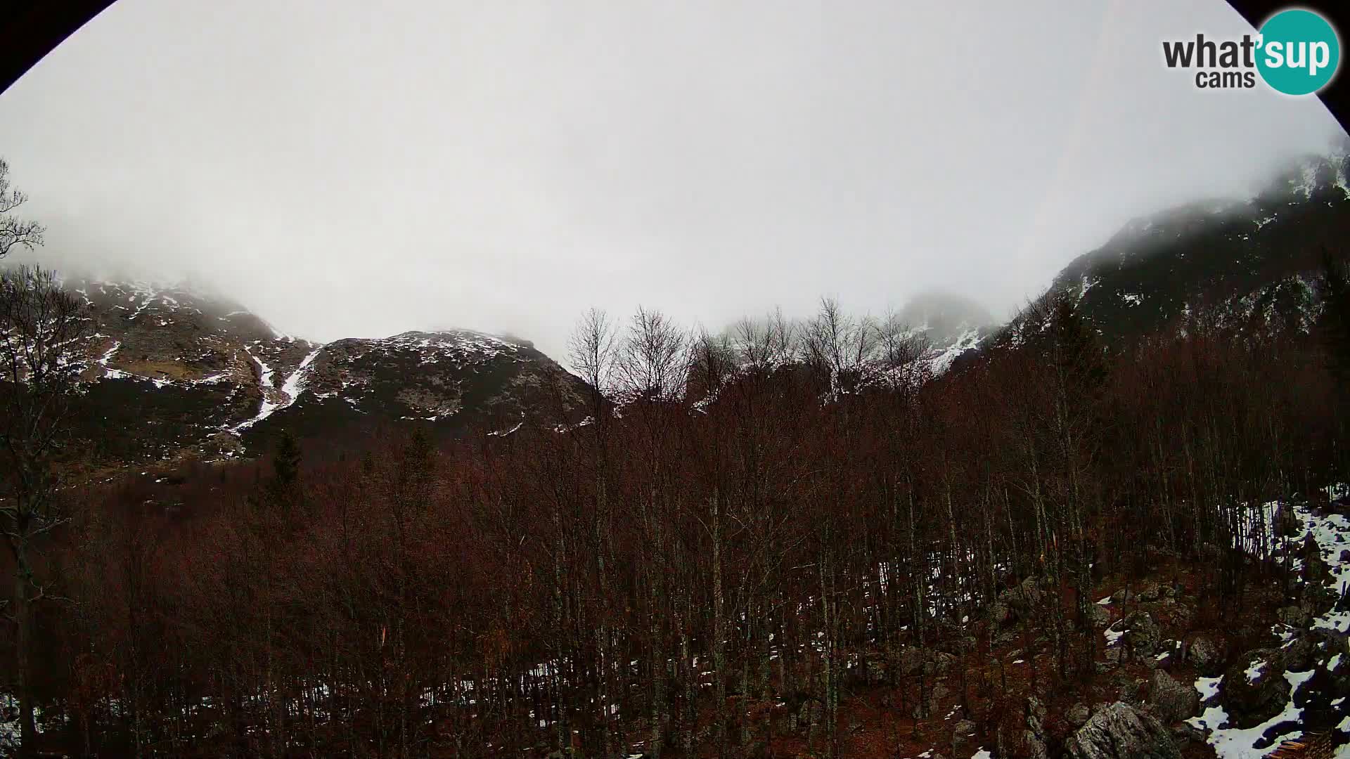 Livecam PLANINA RAZOR (1315) | vue sur Vogel et Globoko