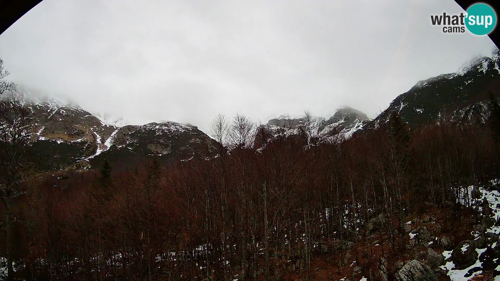 PLANINA RAZOR webcam (1315) | view to Vogel and Globoko