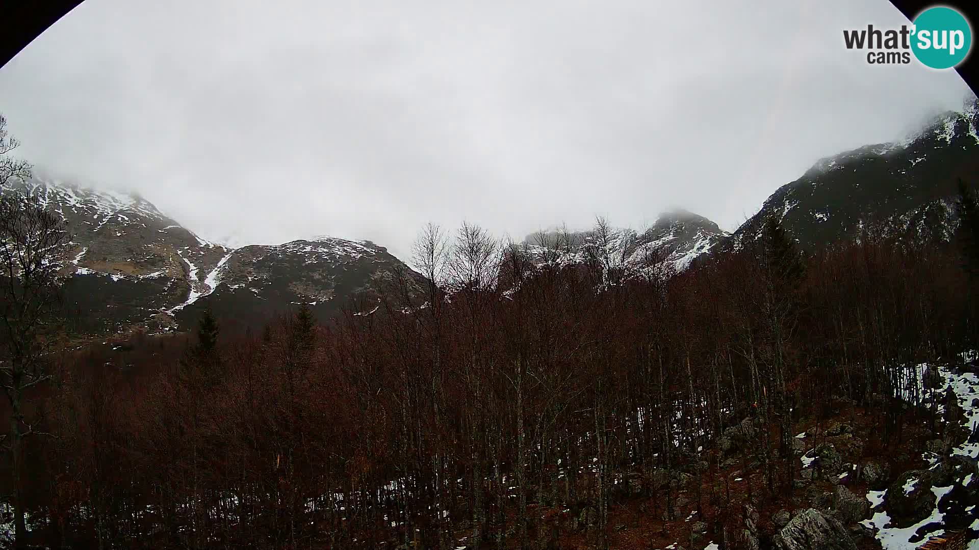 PLANINA RAZOR webcam (1315) | view to Vogel and Globoko